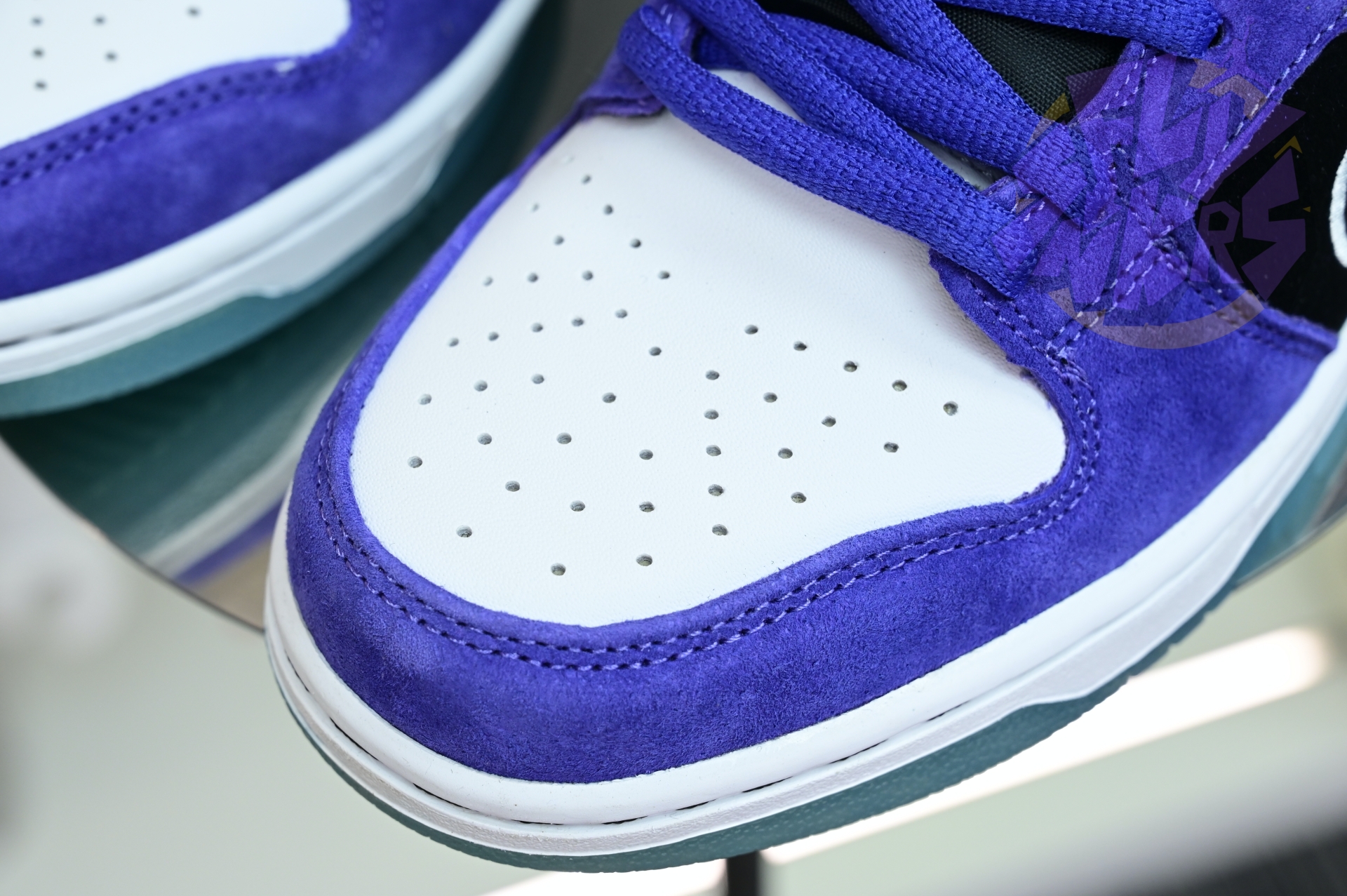 Hayley Wilson x Nike Dunk SB DUNK LOW PRO  HJ0513-500