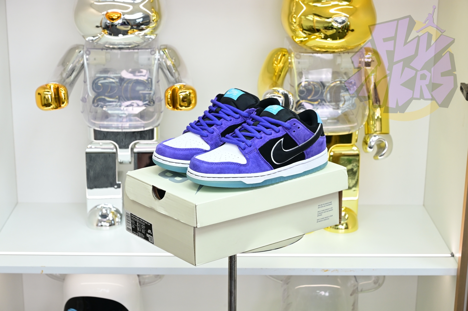 Hayley Wilson x Nike Dunk SB DUNK LOW PRO  HJ0513-500