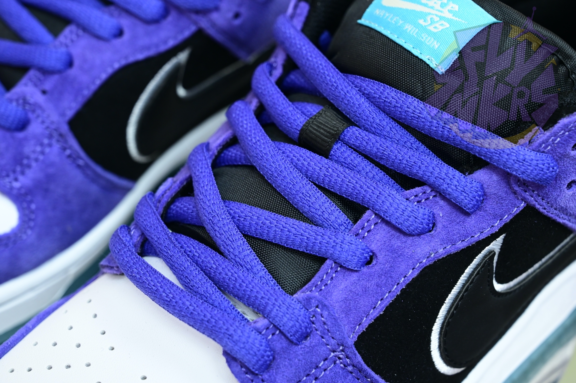 Hayley Wilson x Nike Dunk SB DUNK LOW PRO  HJ0513-500