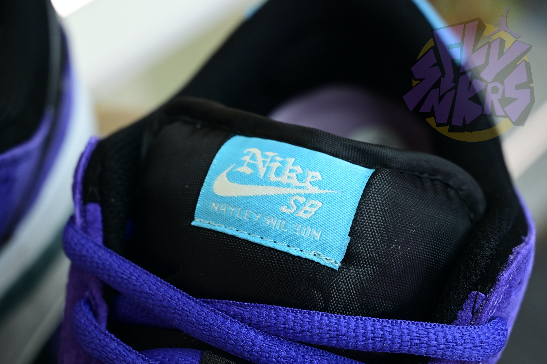 Hayley Wilson x Nike Dunk SB DUNK LOW PRO  HJ0513-500