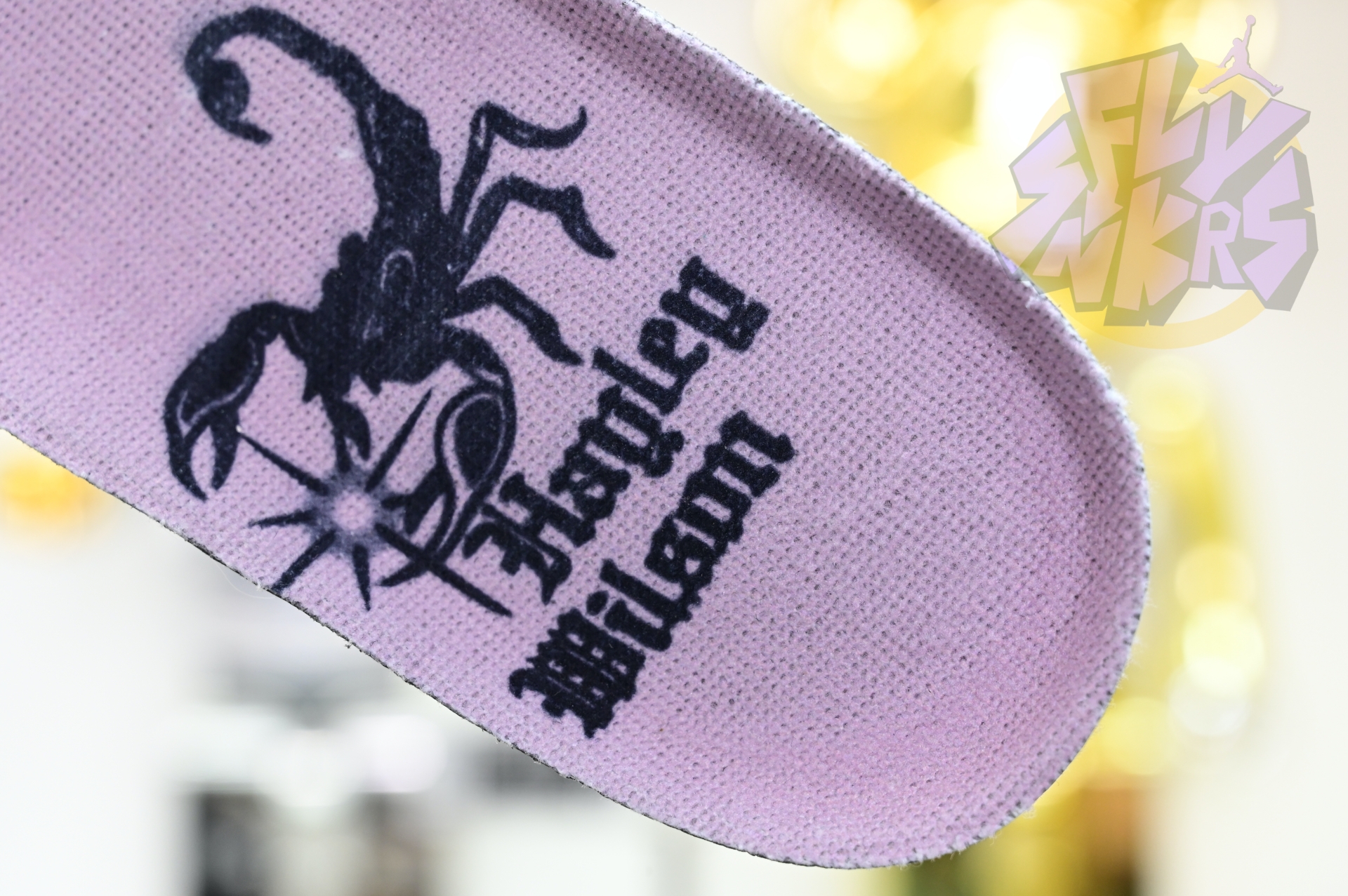 Hayley Wilson x Nike Dunk SB DUNK LOW PRO  HJ0513-500