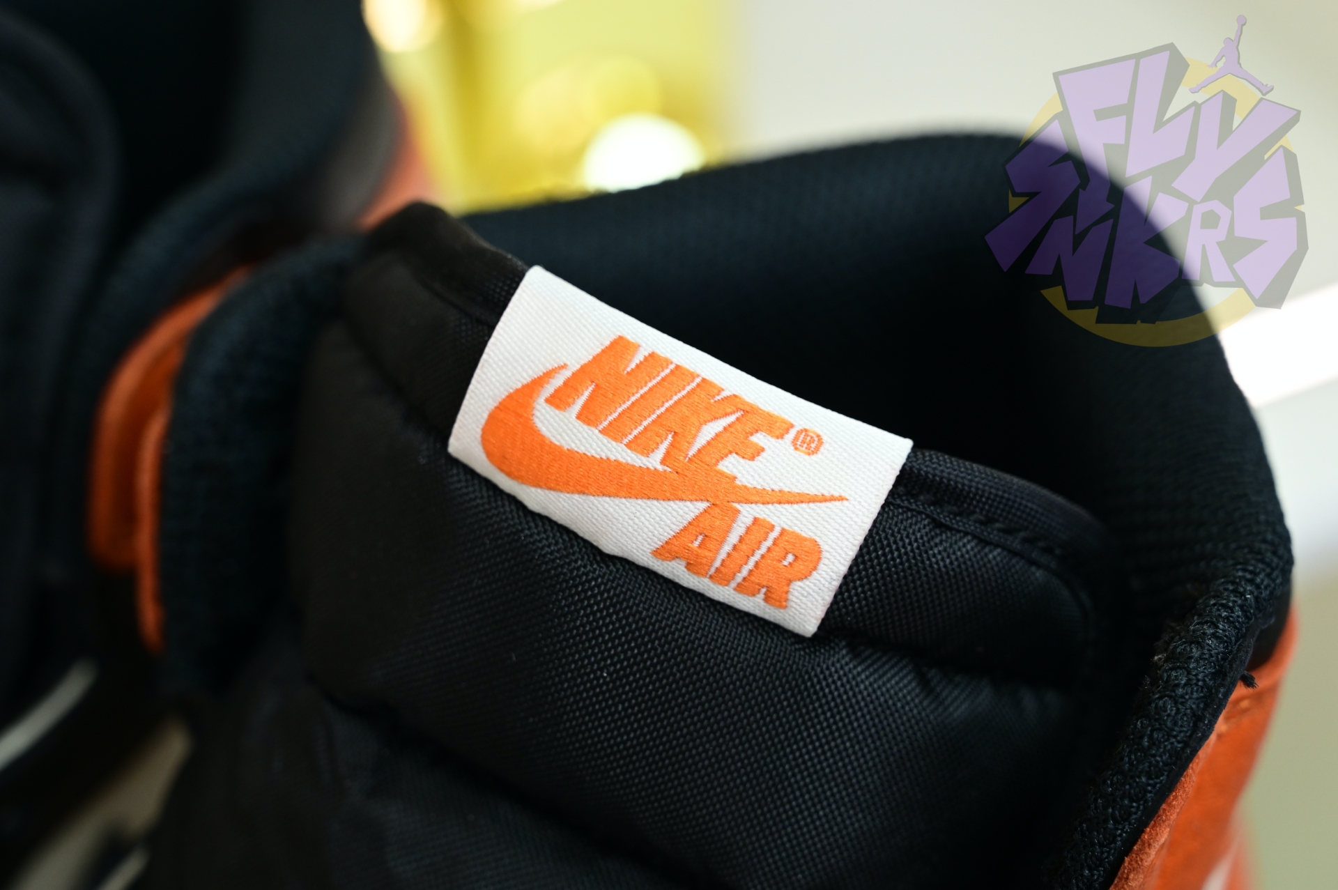 Air Jordan 1“Shattered Backboard” DZ5485-008