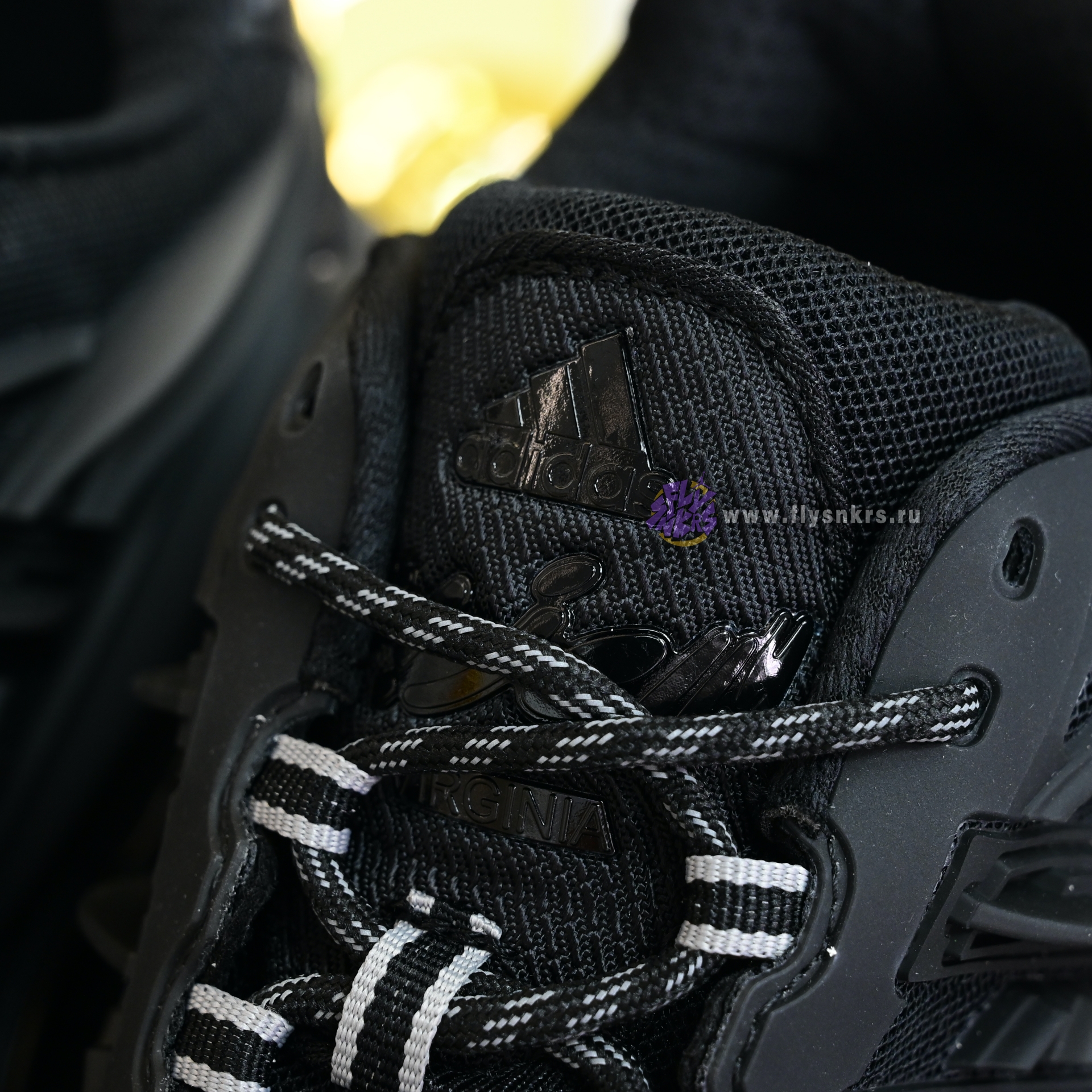 Pharrell x adidas Adistar Jellyhsh JP9260