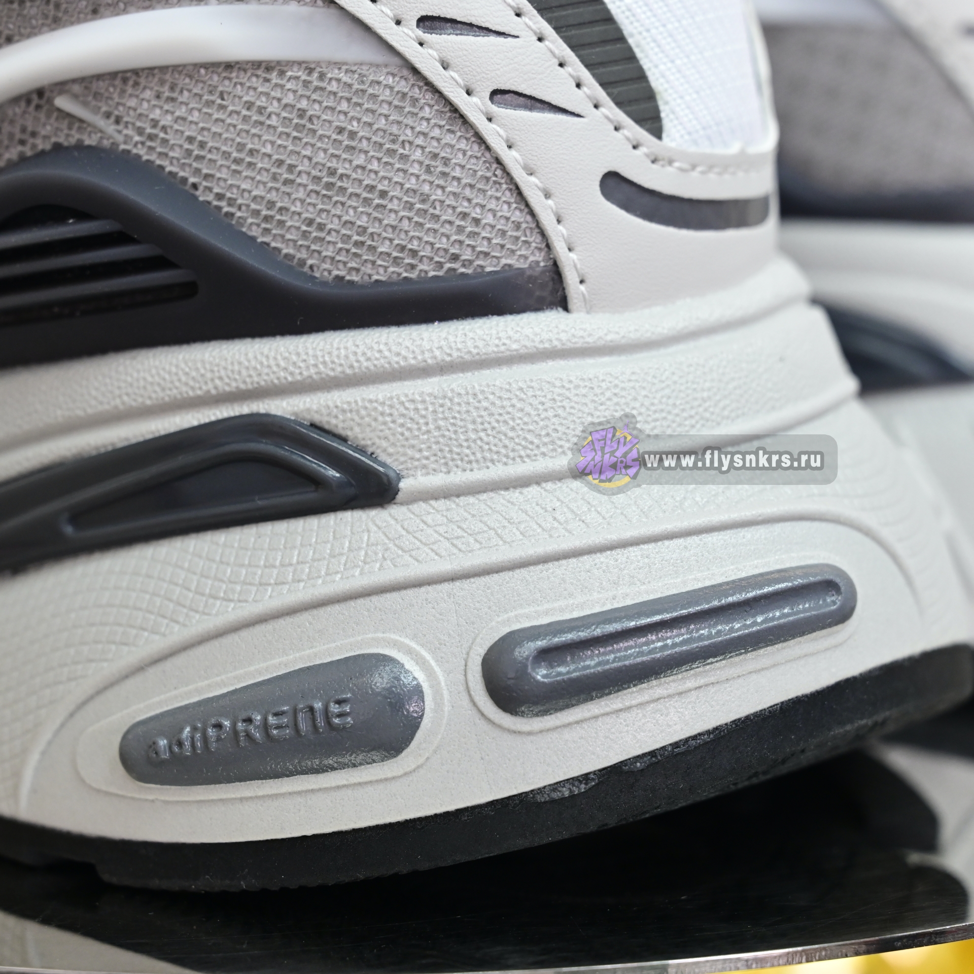 Pharrell x adidas Adistar Jellyhsh  JP9262