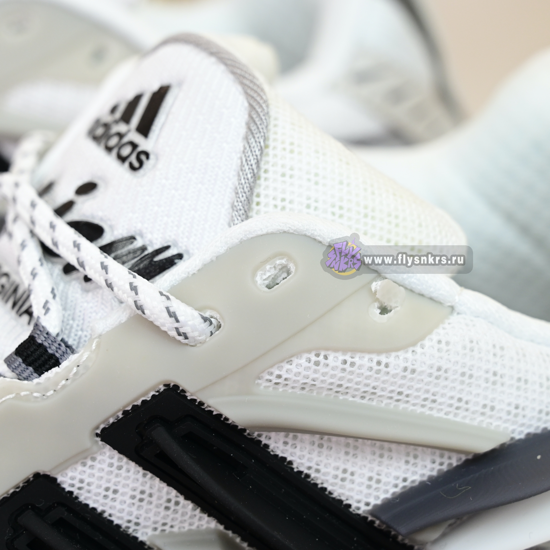 Pharrell x adidas Adistar Jellyhsh  JP9262