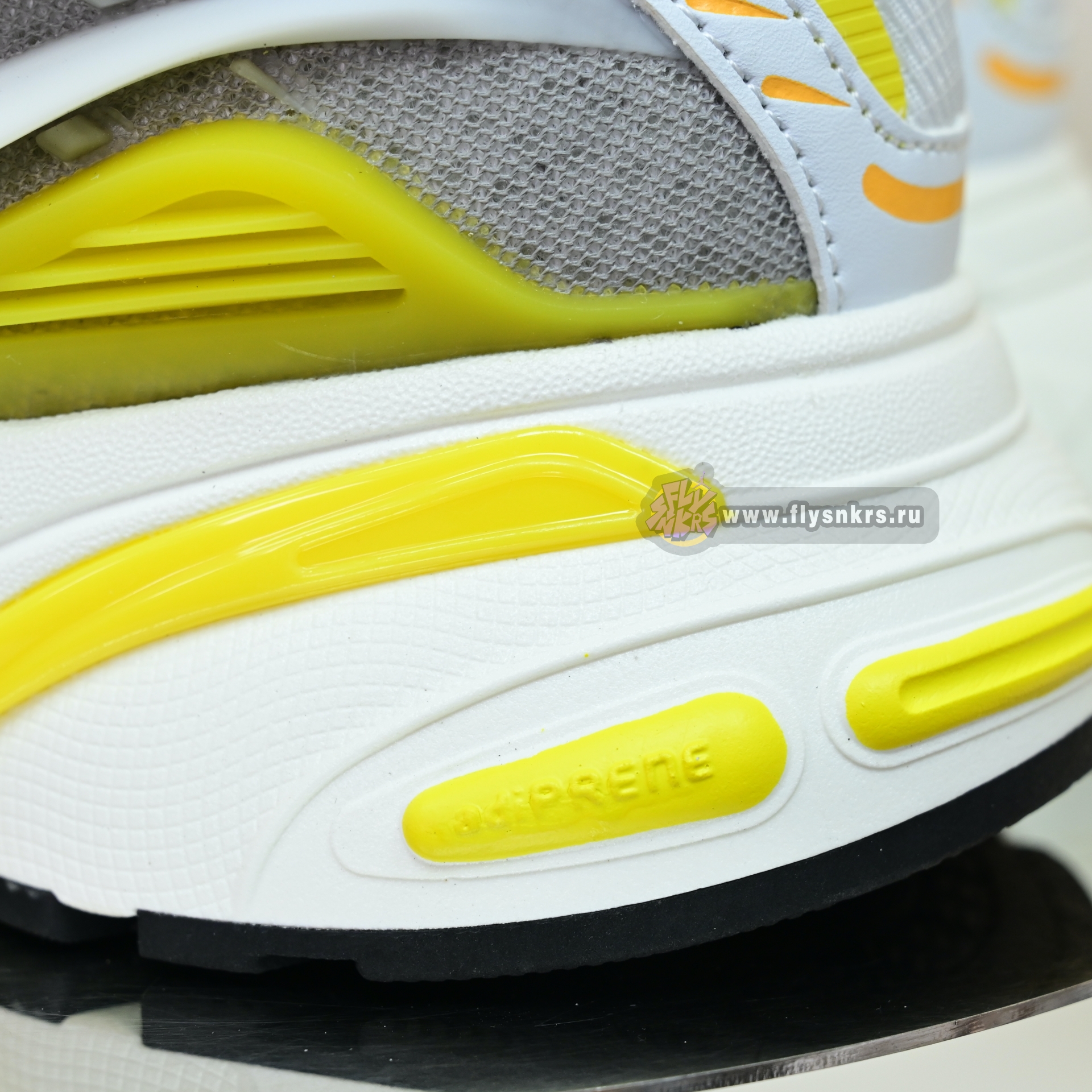 Pharrell x adidas Adistar Jellyhsh JP9267