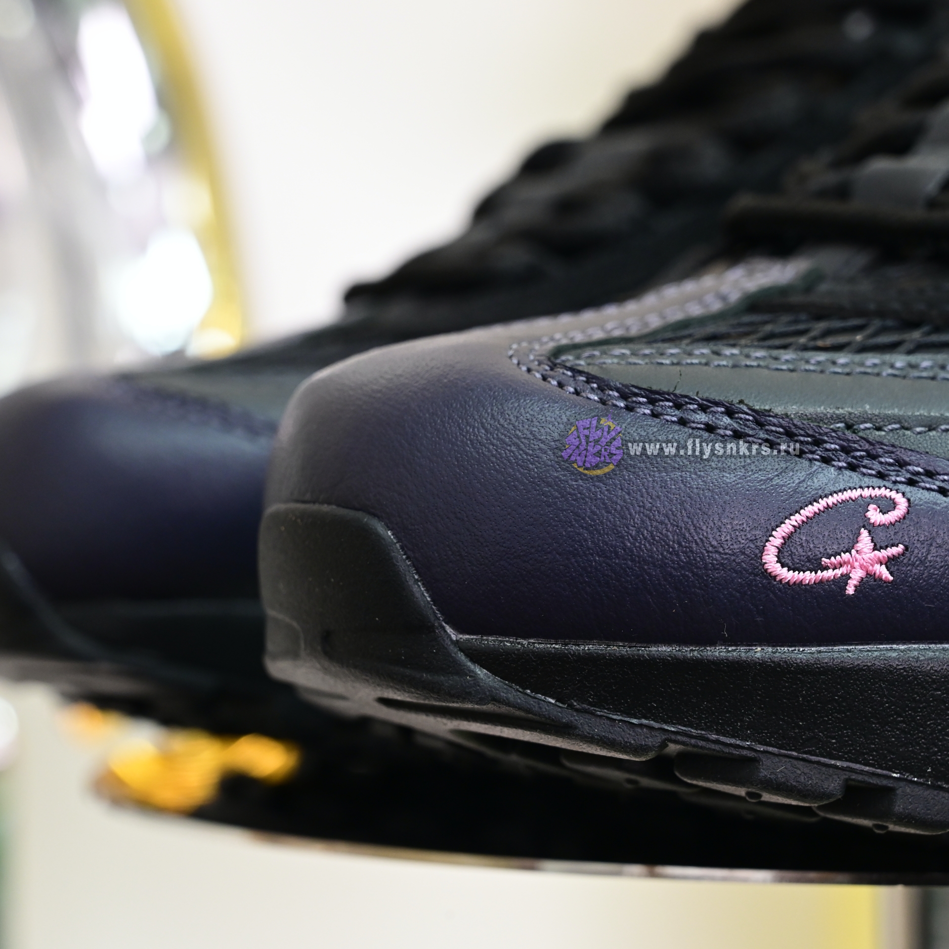 Corteiz x Nike Air Max 95