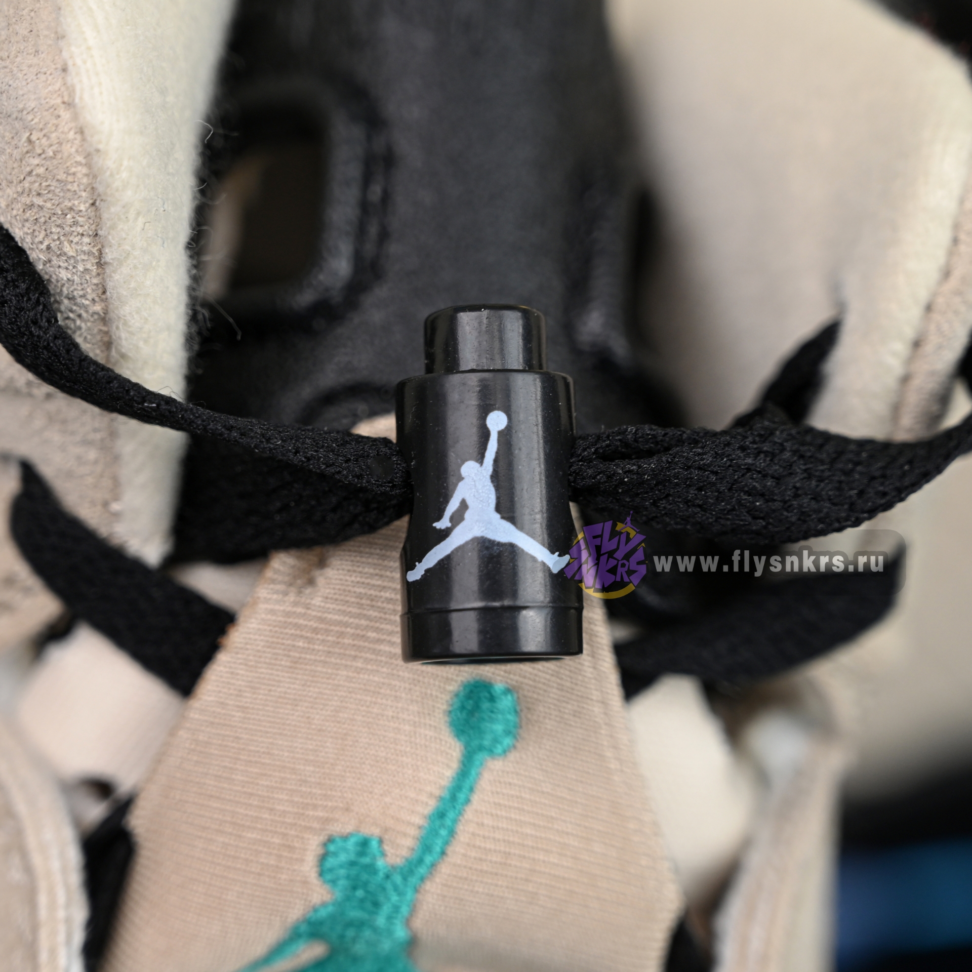 Air Jordan 6