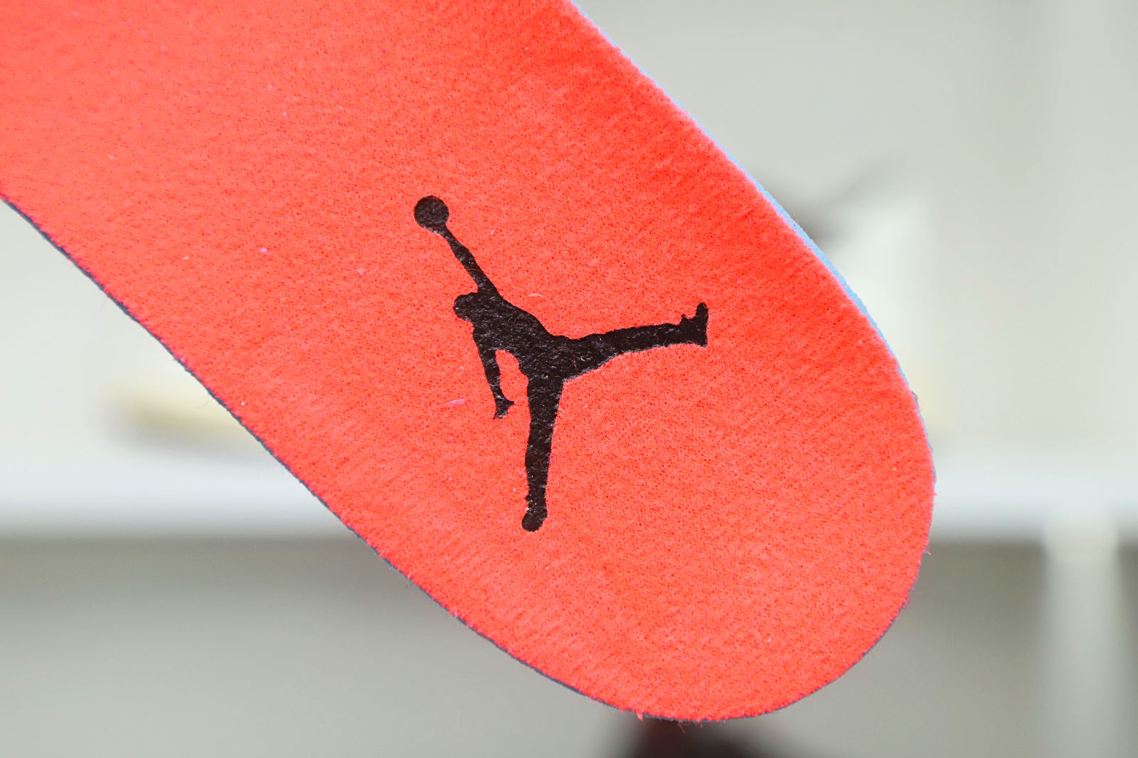Jordan Air Jordan 4