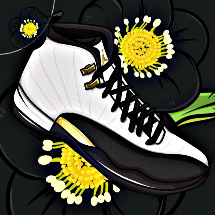 Air Jordan 12