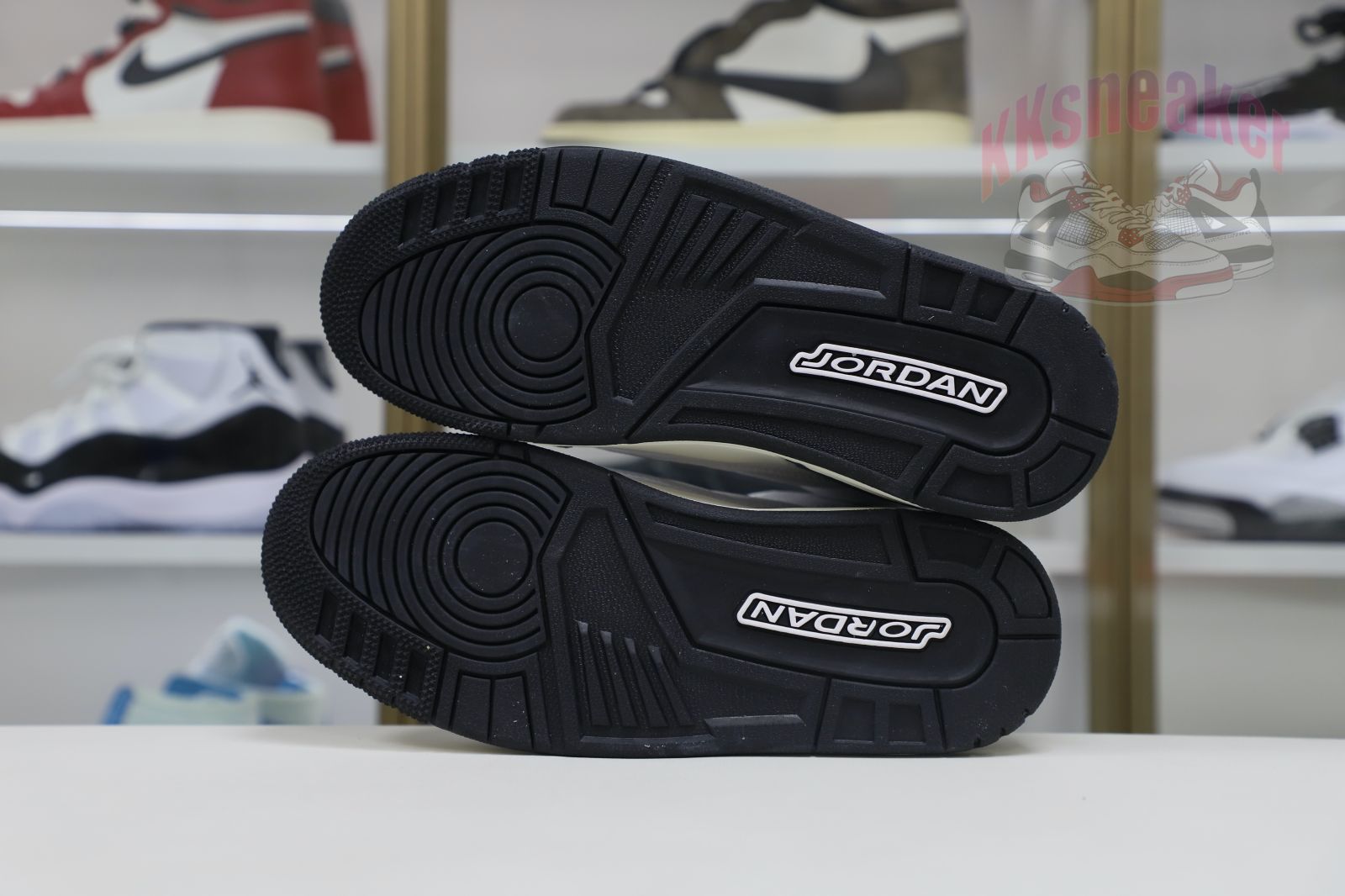Jordan Air Jordan 3 Retro Hide N Sneak(DK6665-100)