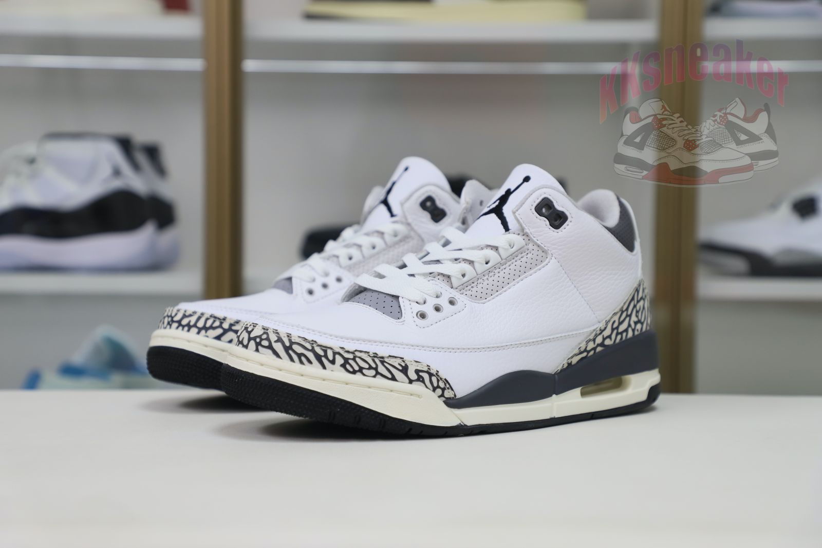 Jordan Air Jordan 3 Retro Hide N Sneak(DK6665-100)