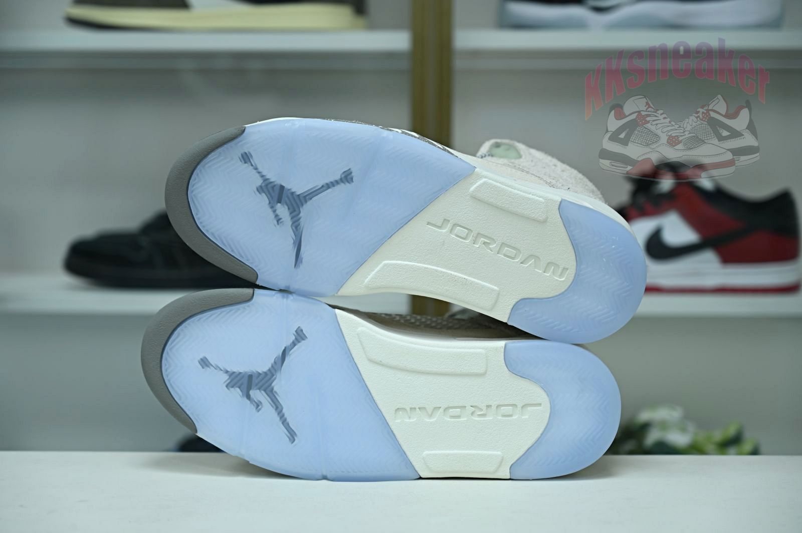 Jordan Air Jordan5 SE