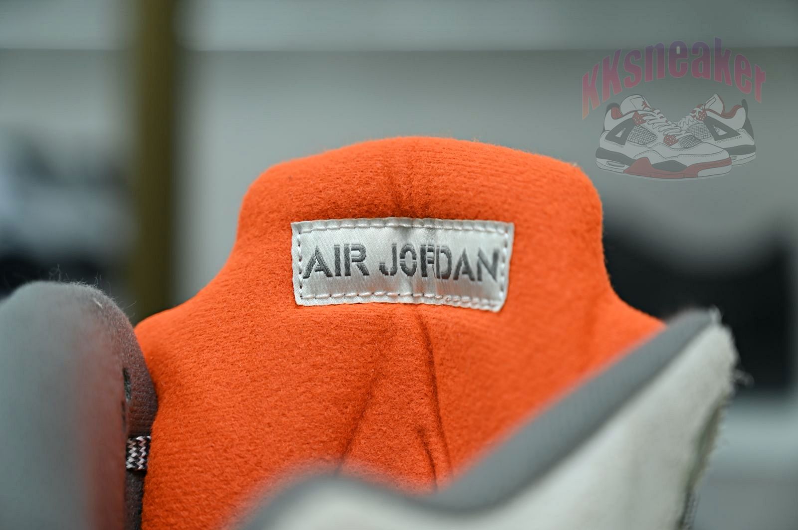 Jordan Air Jordan5 SE
