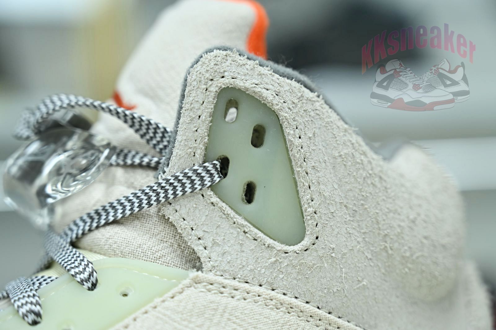 Jordan Air Jordan5 SE