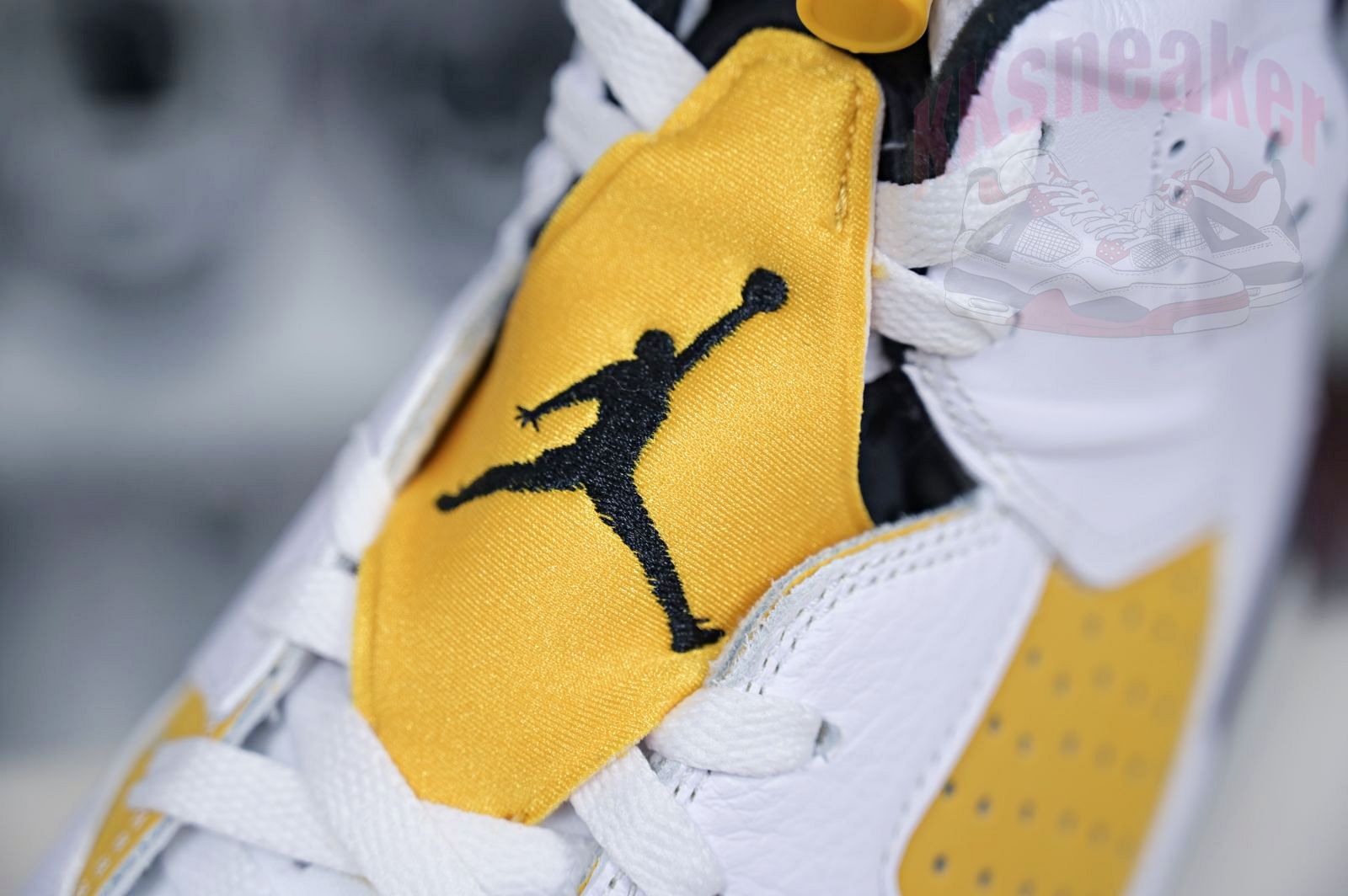 Air Jordan 6