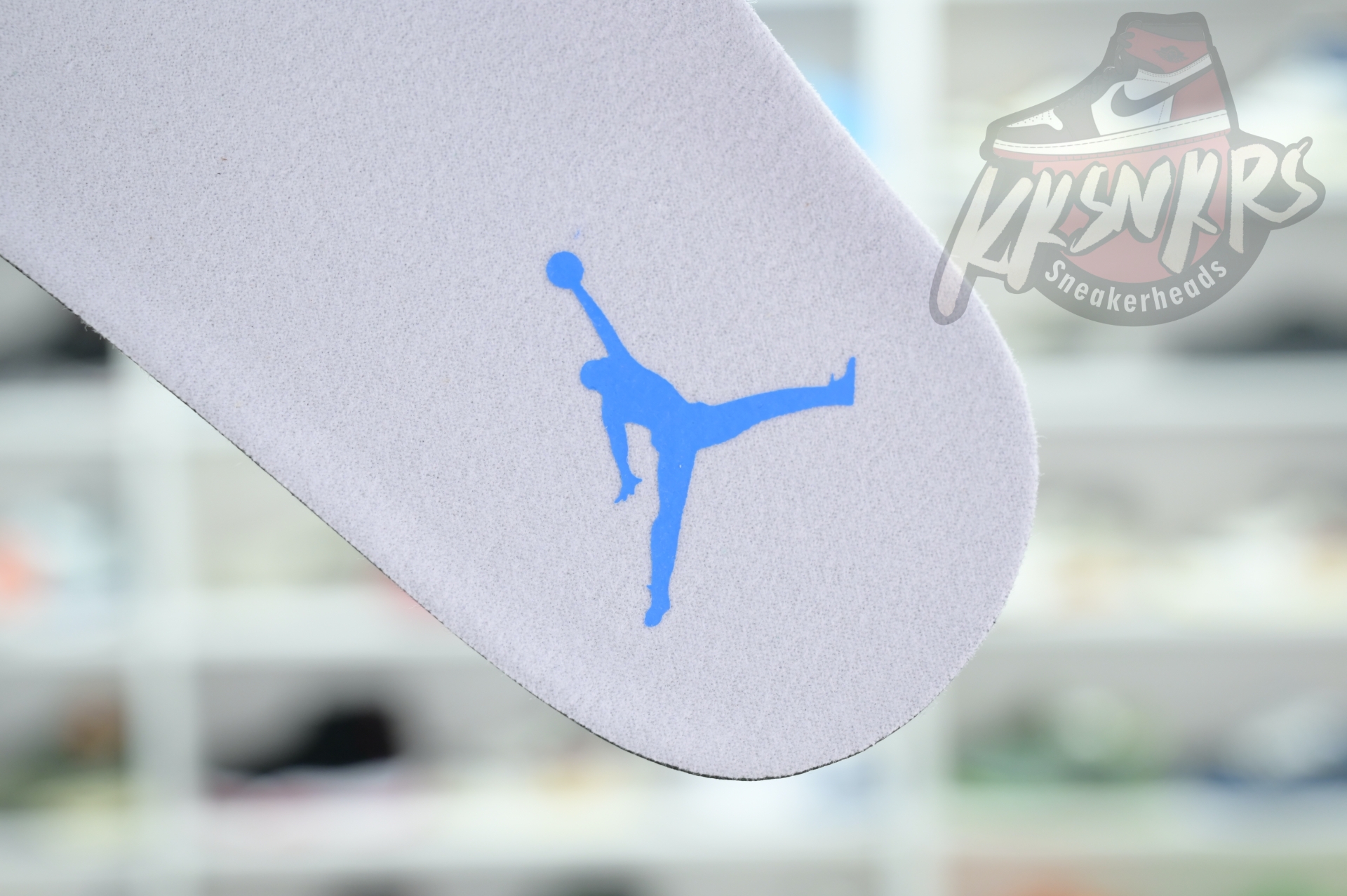 Jordan Air Jordan 3“Lucky Shorts”