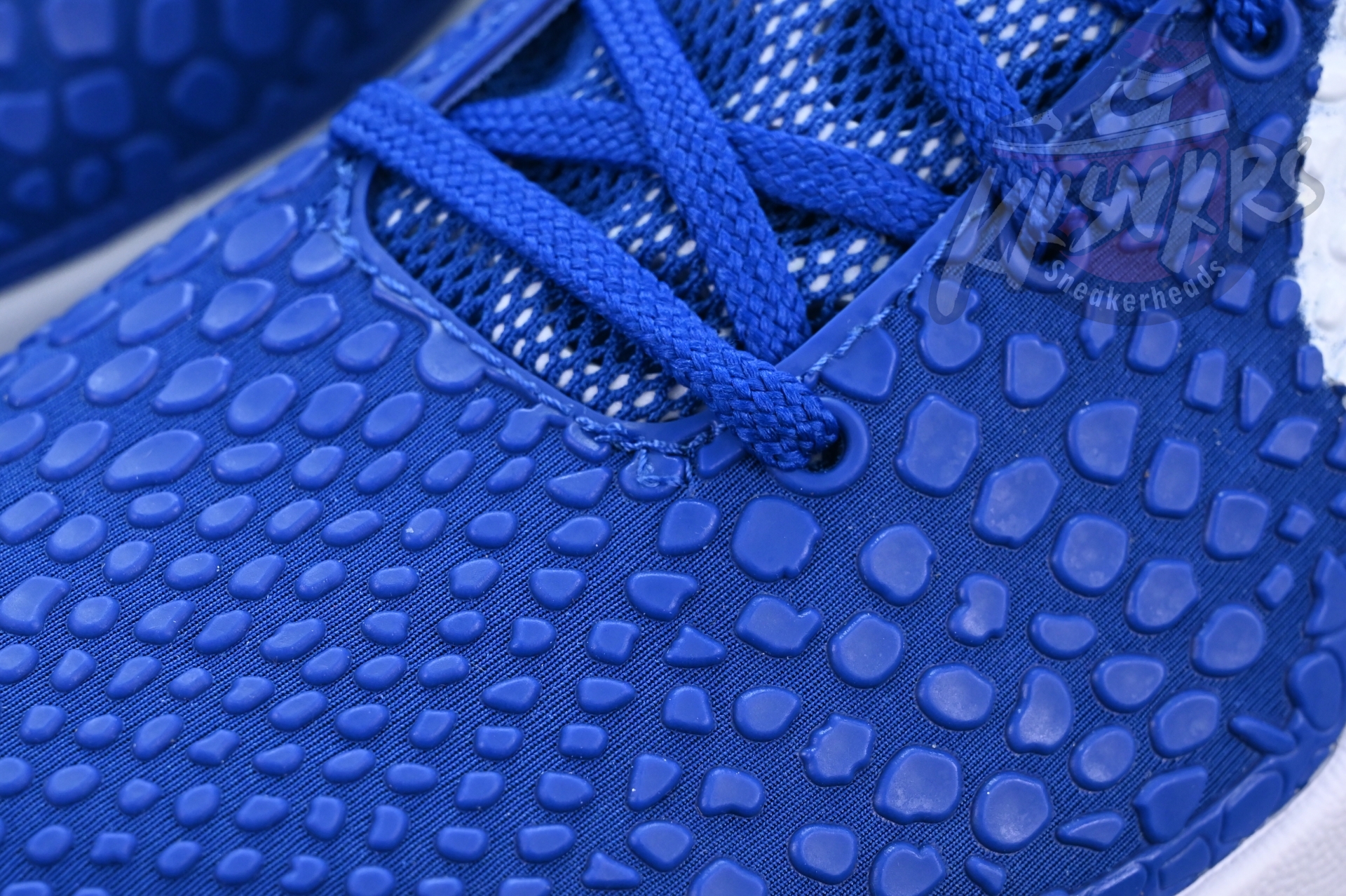 Nike Zoom Kobe 6 Protro“Dodgers”PE