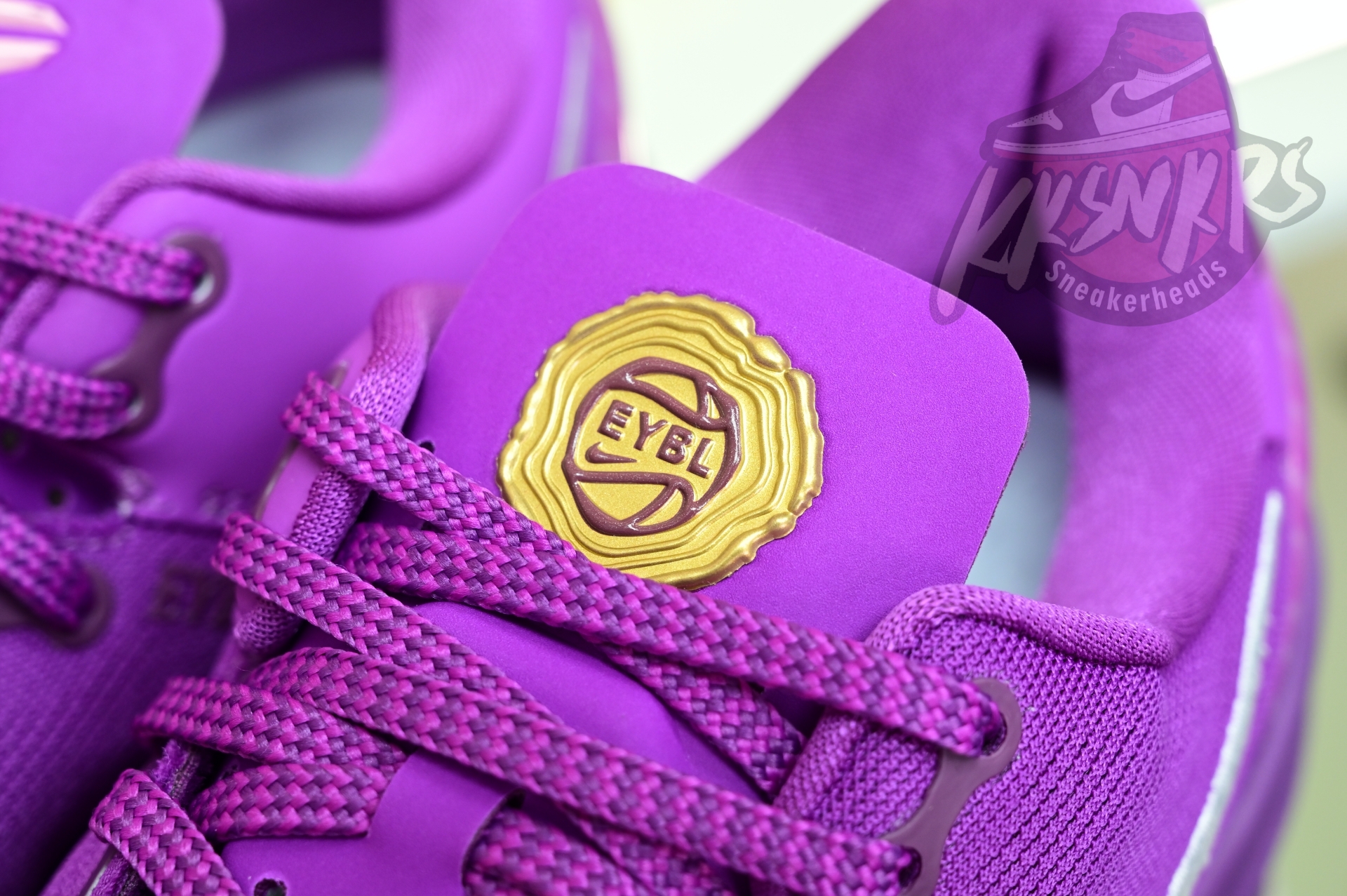 Nike Kobe 8 Protro