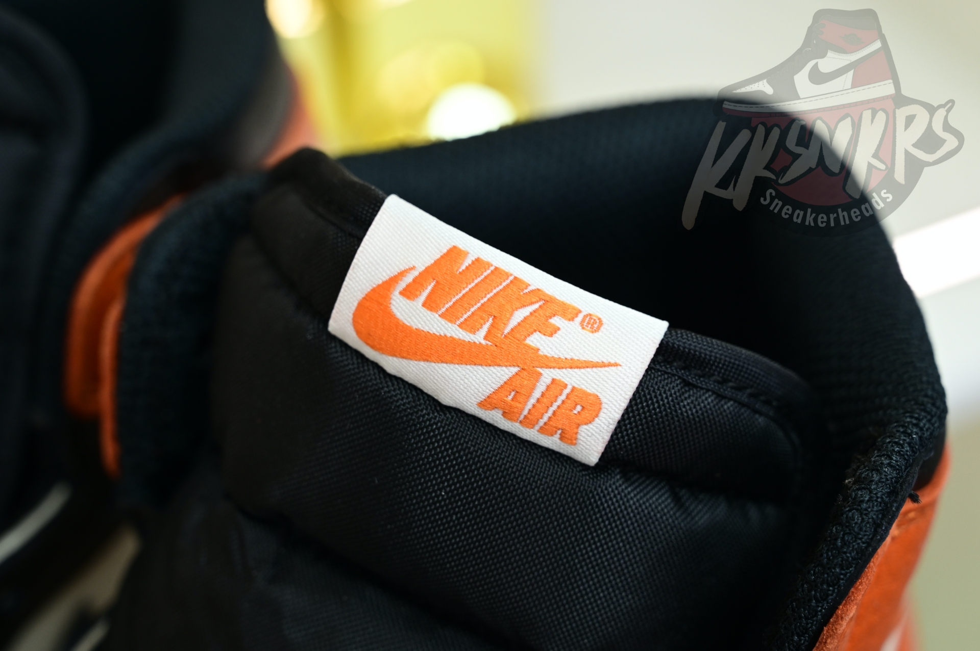 Air Jordan 1“Shattered Backboard” DZ5485-008
