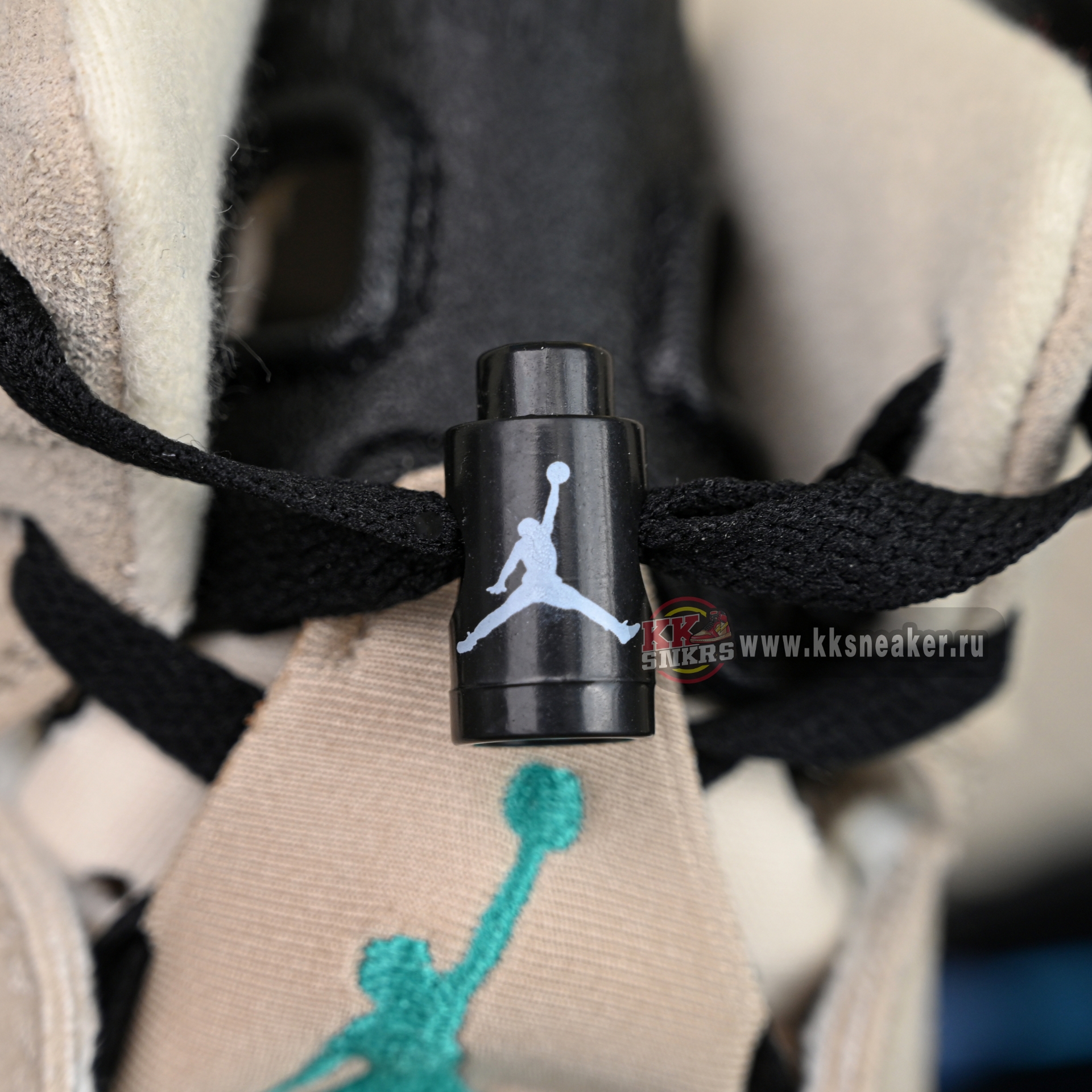 Air Jordan 6