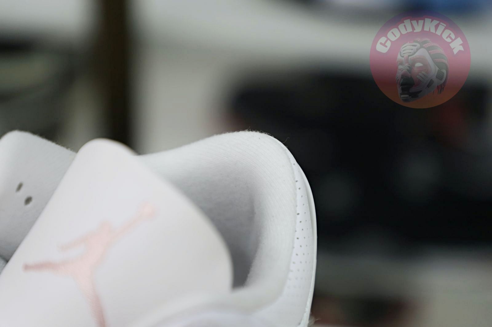 Jordan Air Jordan 3 retro