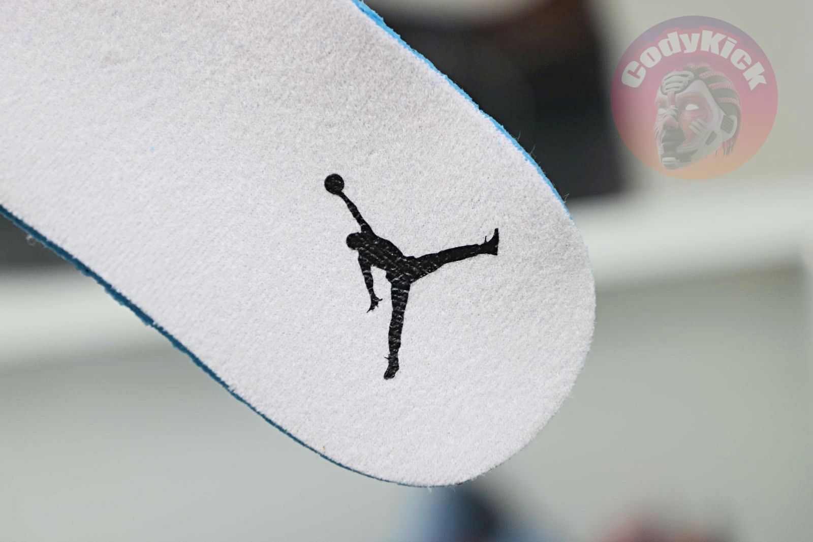 Jordan Air Jordan 3 retro