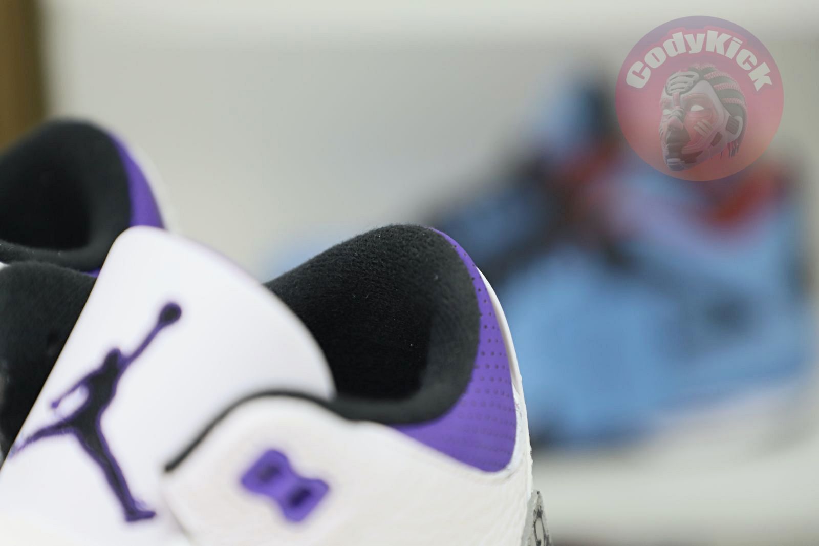 Jordan Air Jordan 3 retro