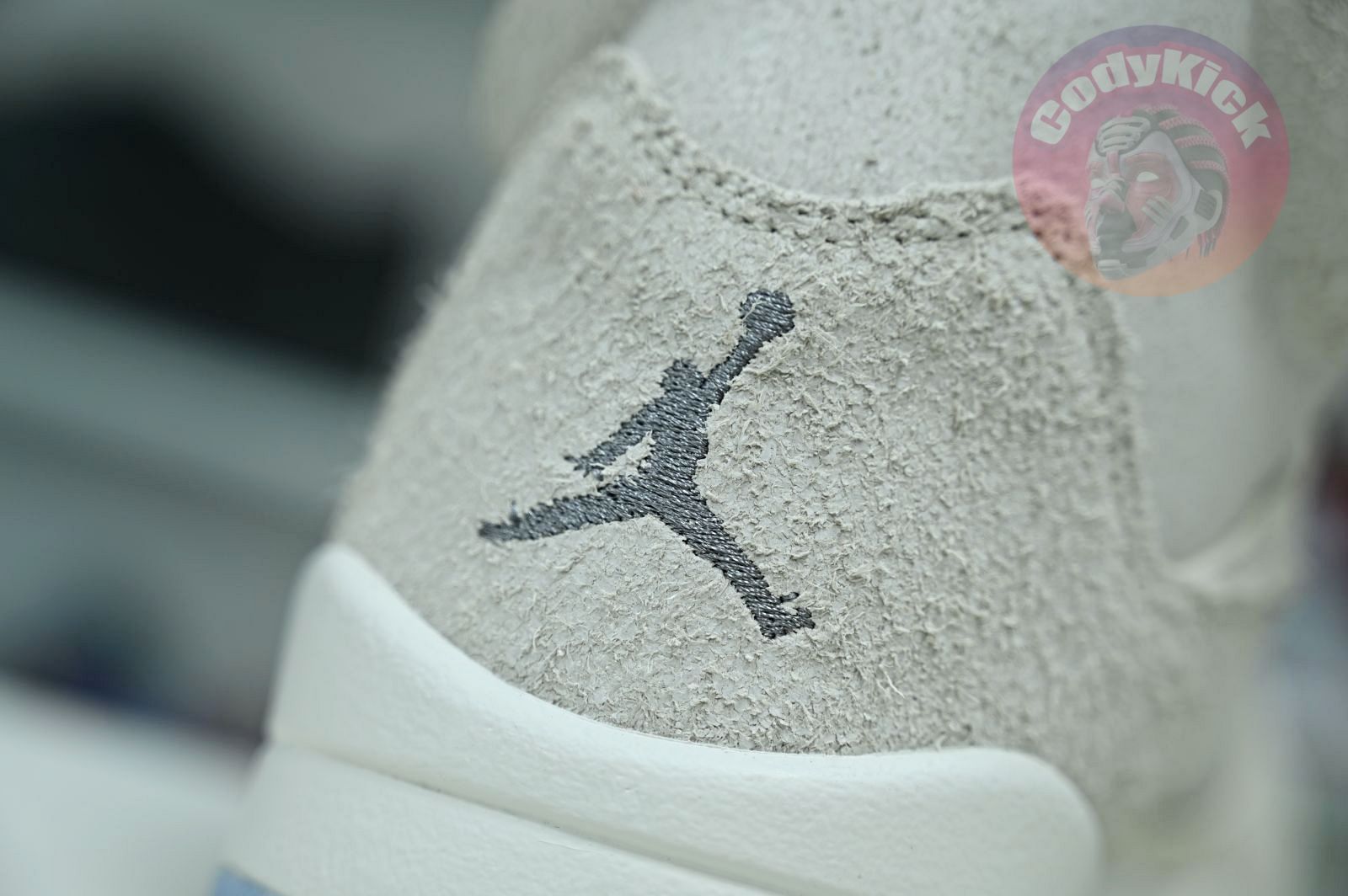 Jordan Air Jordan5 SE