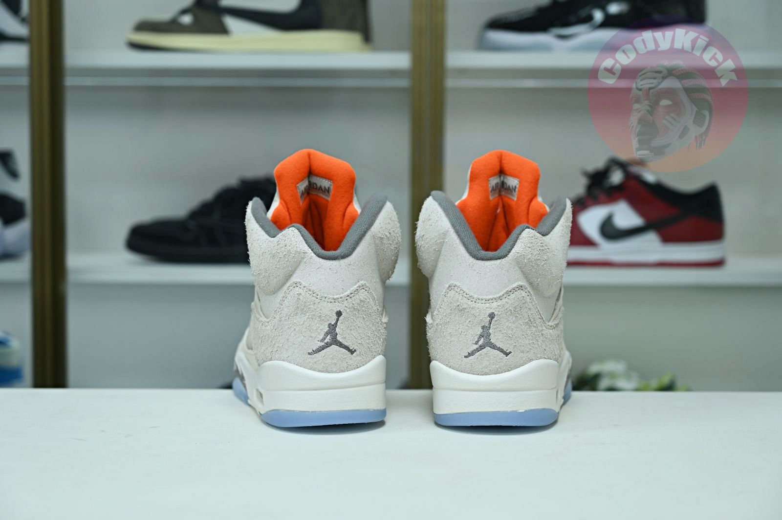 Jordan Air Jordan5 SE