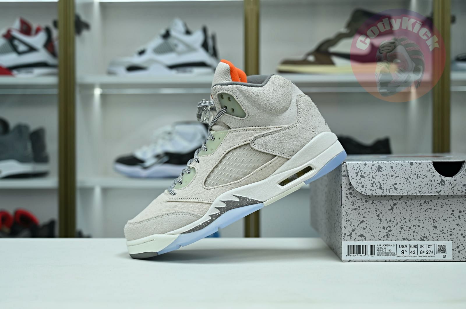 Jordan Air Jordan5 SE