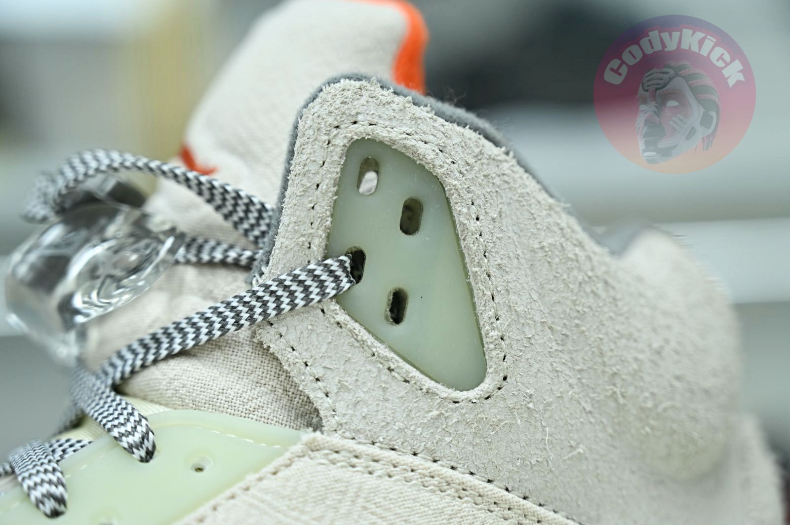 Jordan Air Jordan5 SE