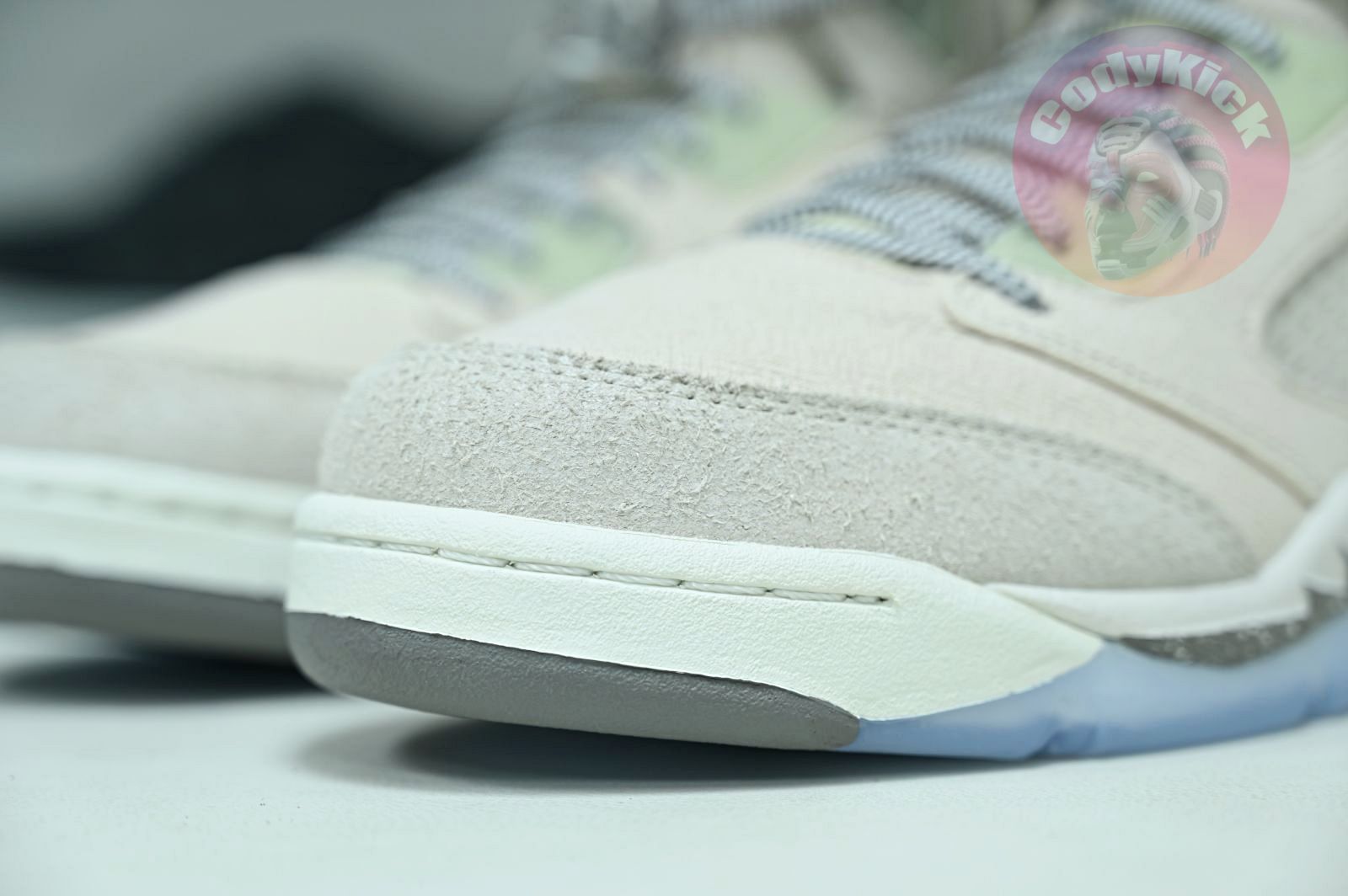 Jordan Air Jordan5 SE