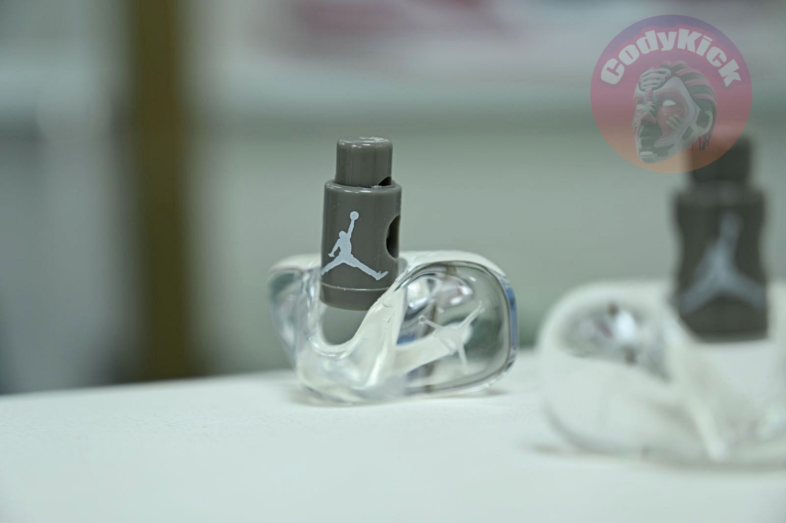 Jordan Air Jordan5 SE