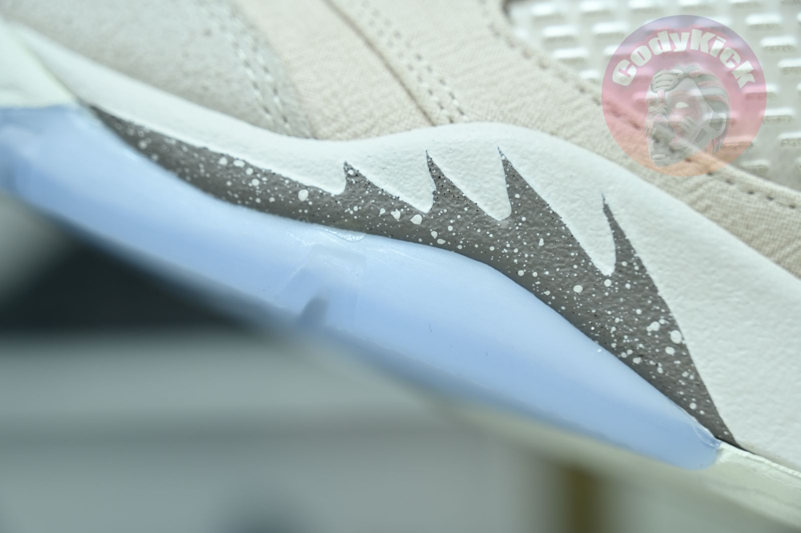 Jordan Air Jordan5 SE