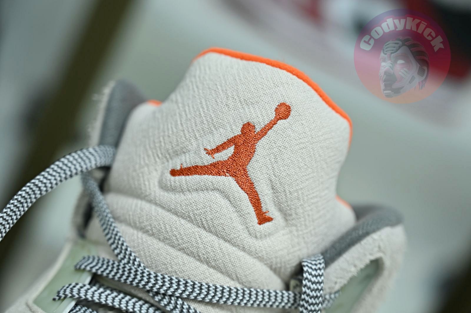 Jordan Air Jordan5 SE