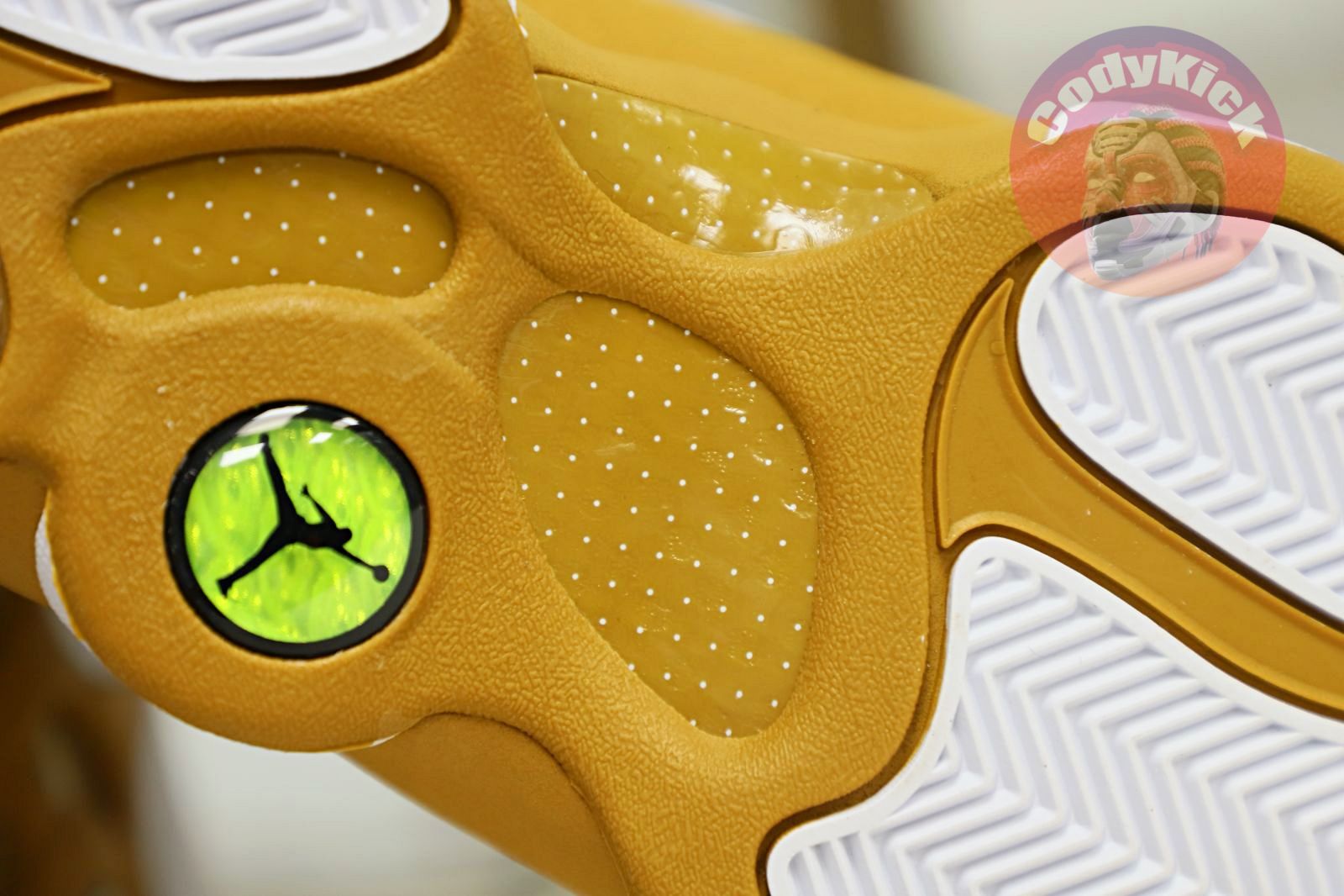 Jordan Air Jordan 13