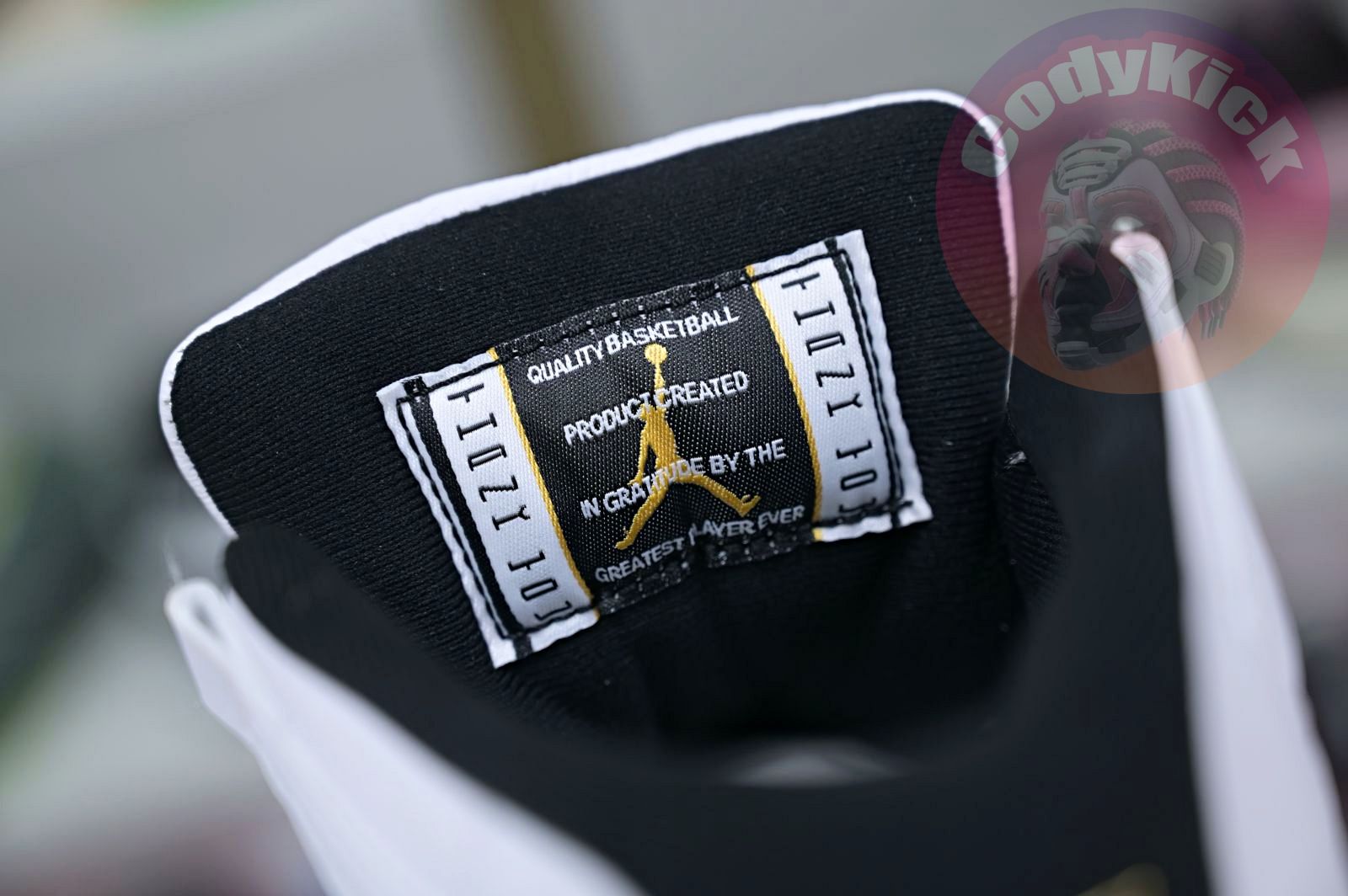 Jordan Air Jordan 11