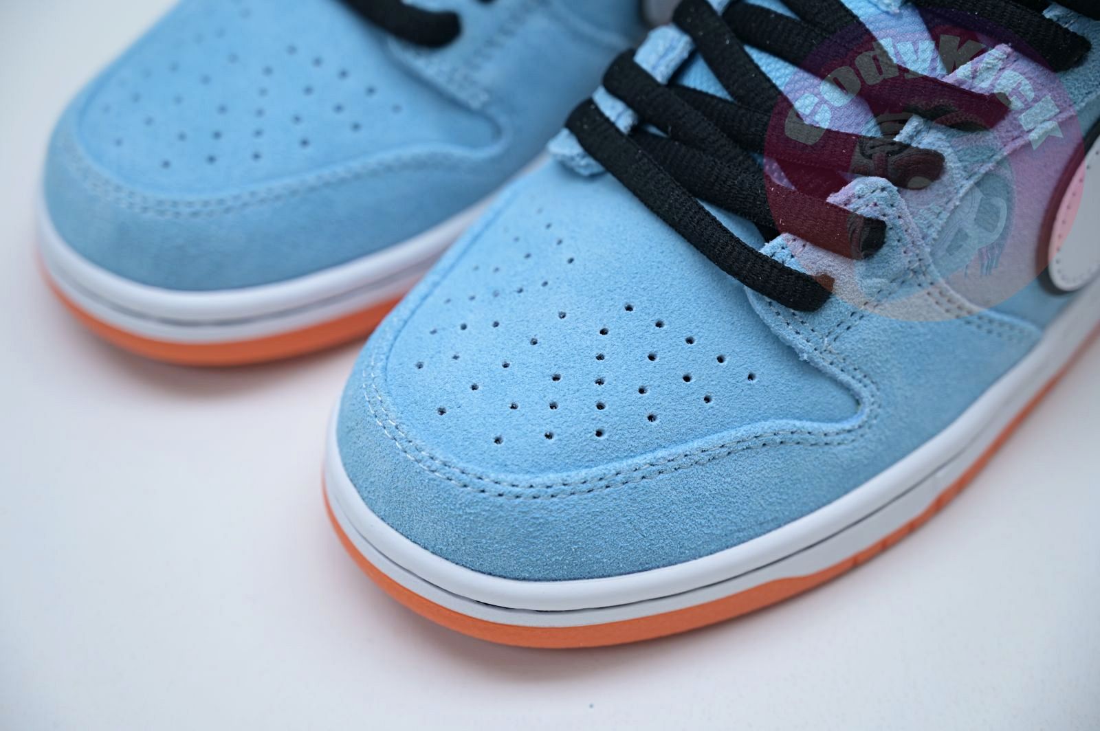 Nike Dunk SB Low Pro