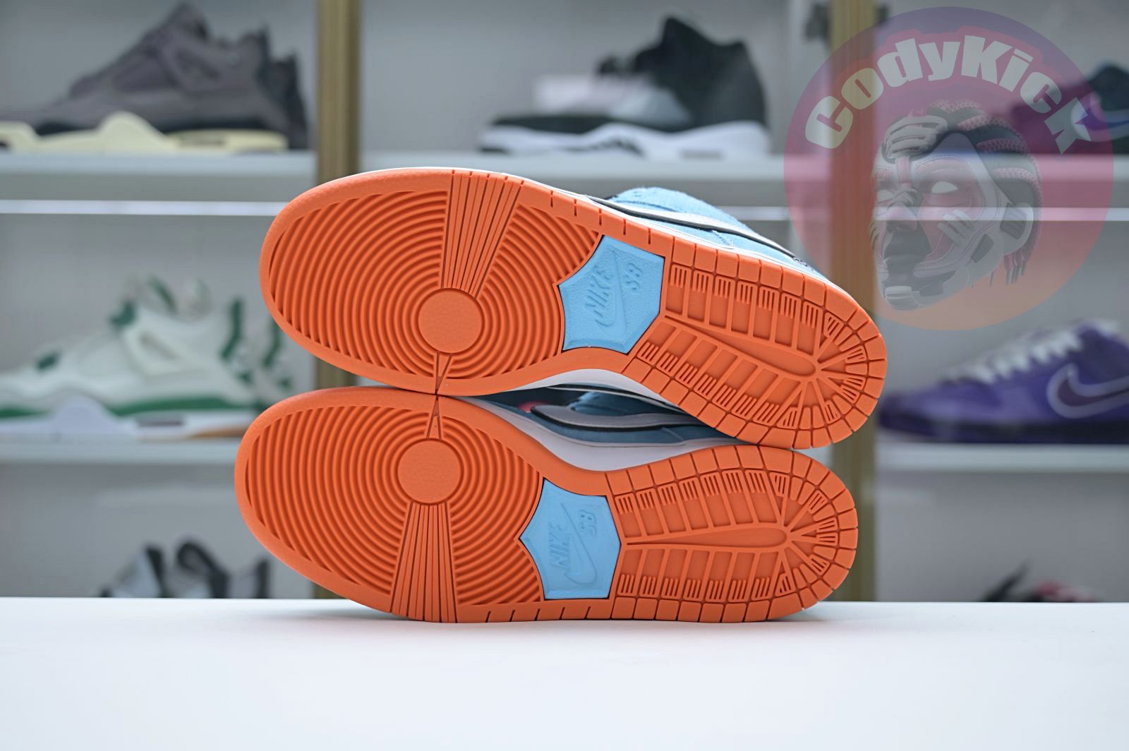 Nike Dunk SB Low Pro