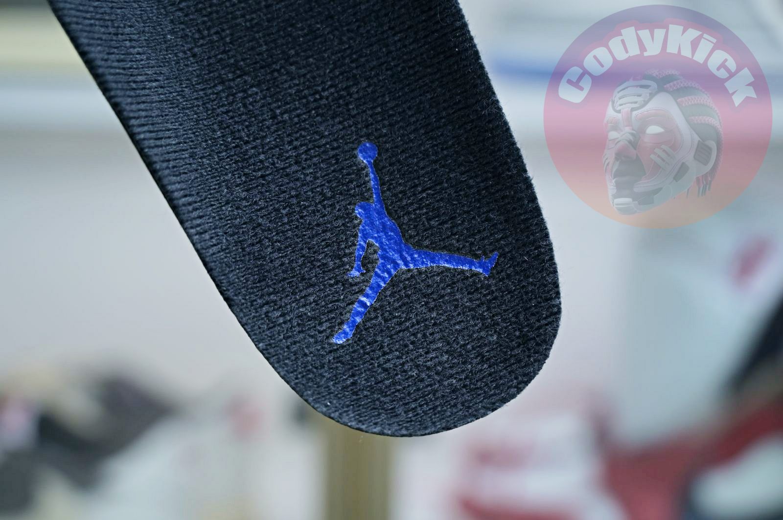 Air Jordan 11 Low