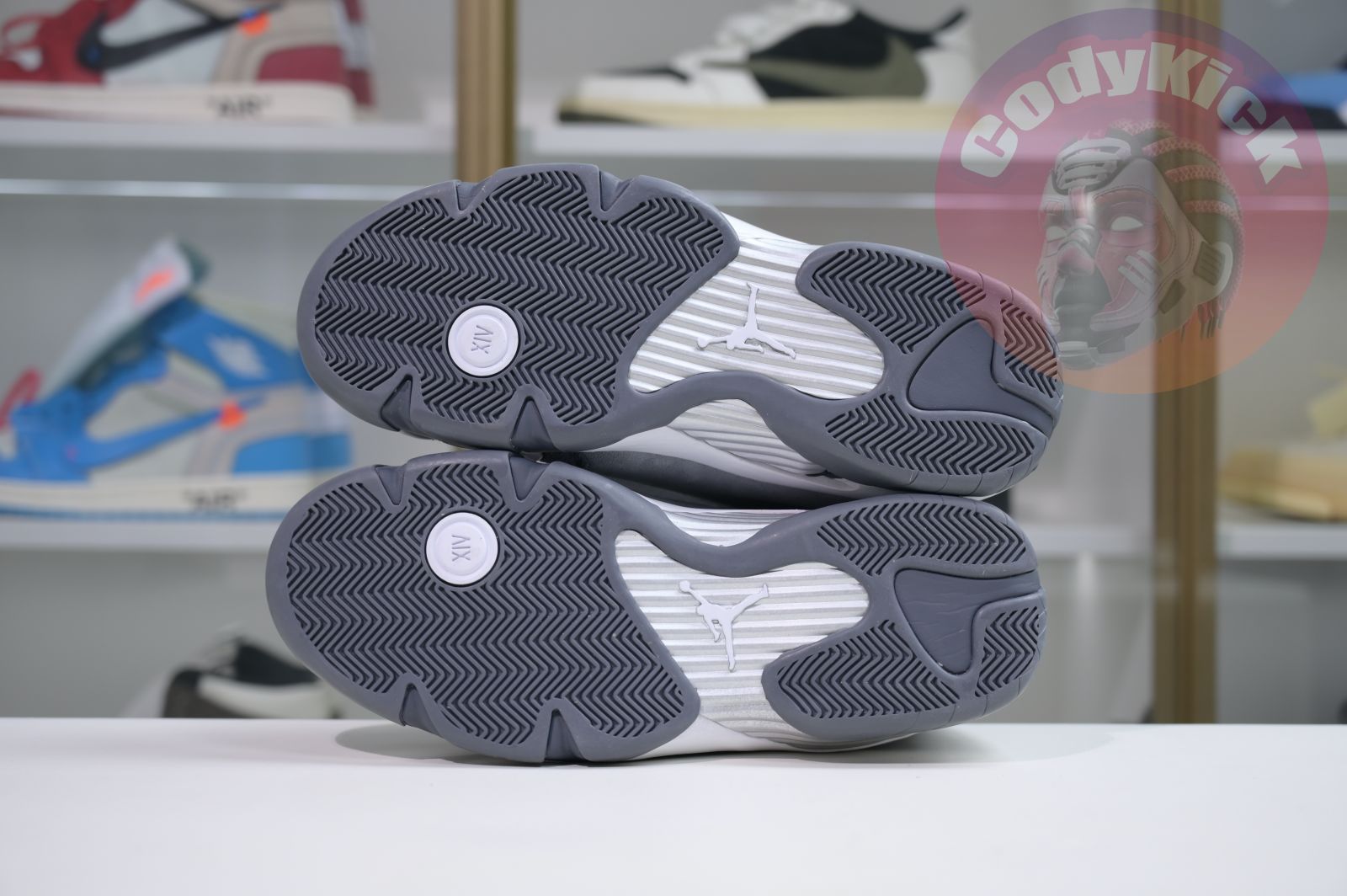 Jordan Air Jordan 14 