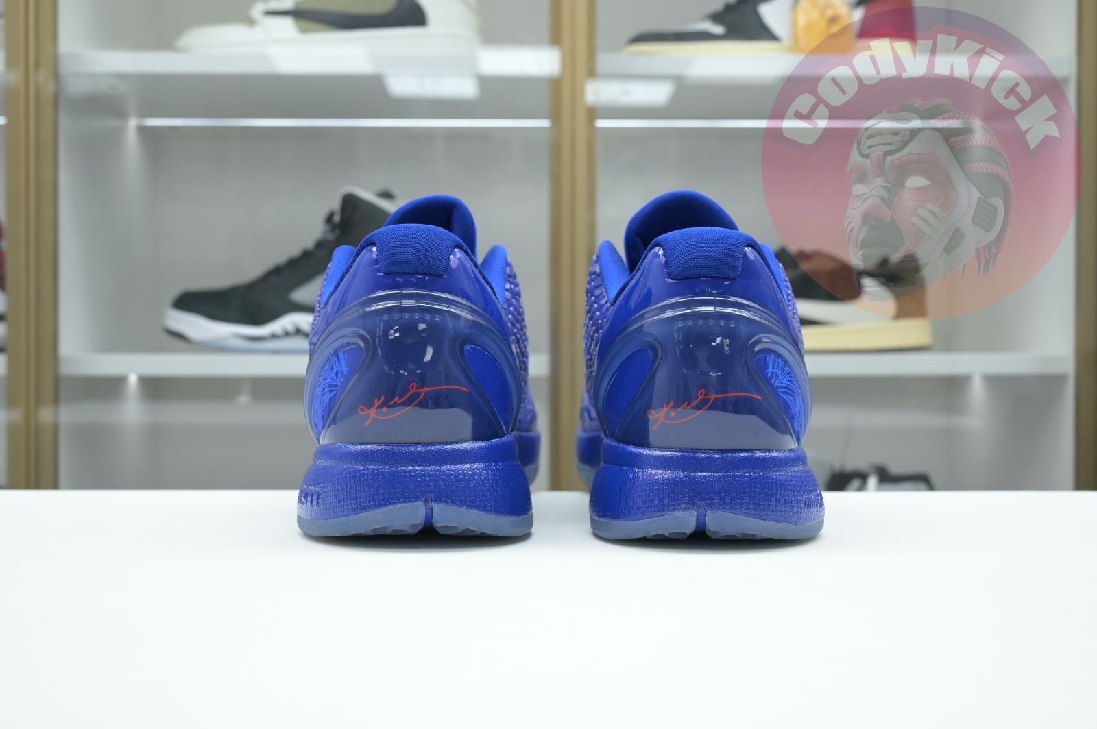 Nike Zoom Kobe 6 ASG East LA