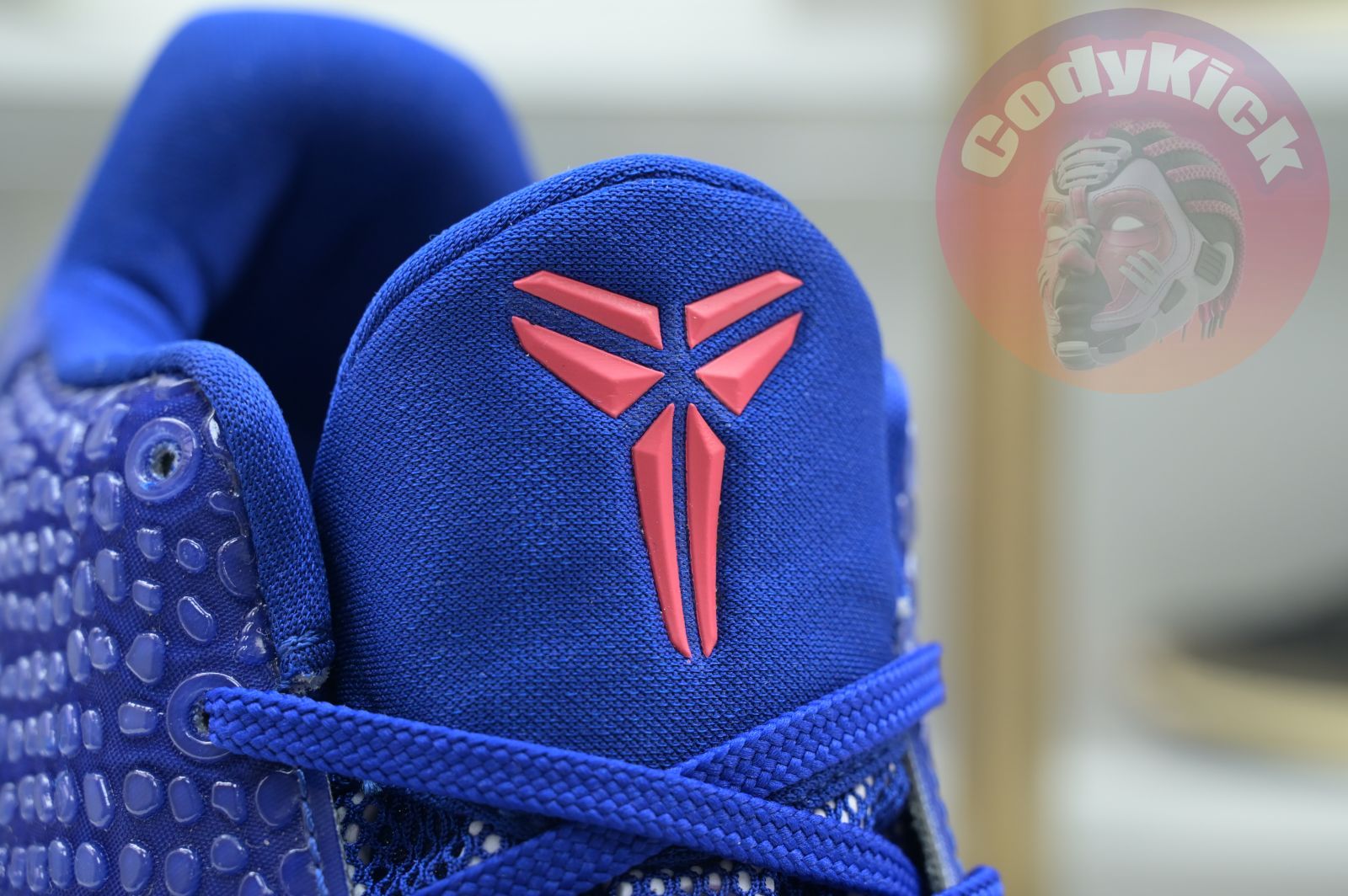 Nike Zoom Kobe 6 ASG East LA