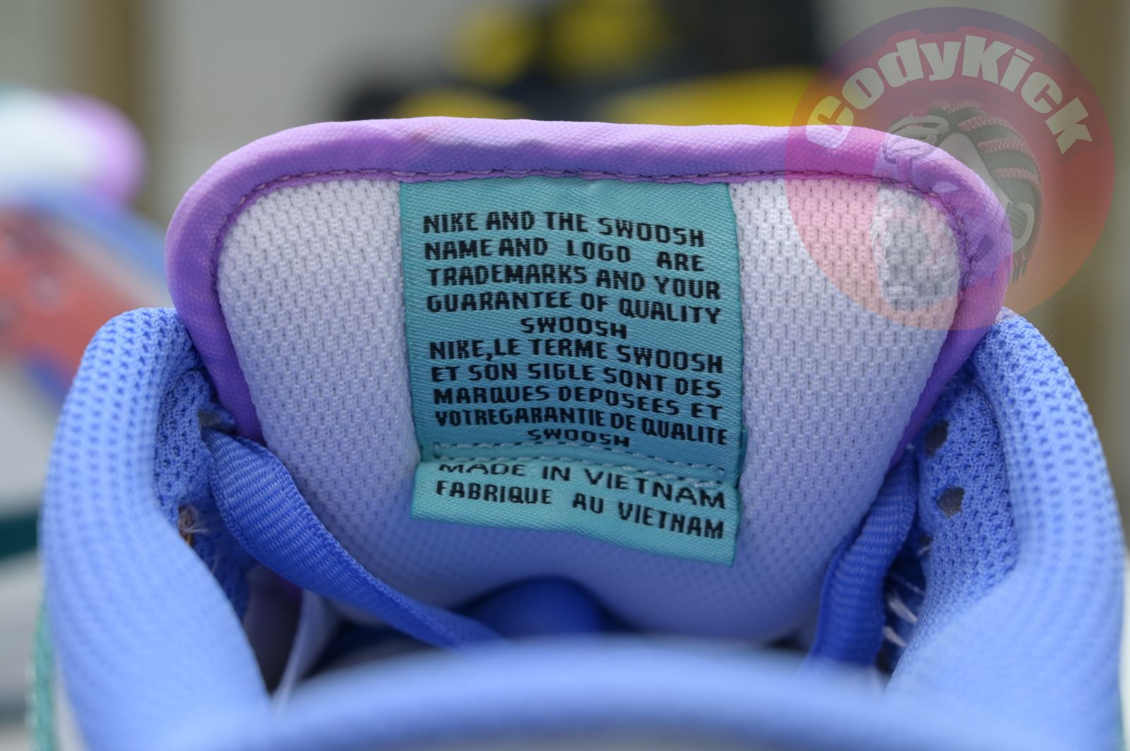 Futura Laboratories x Nike Dunk SB