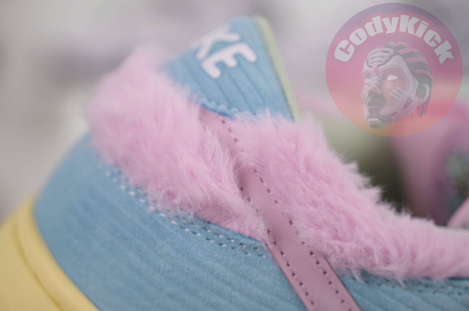 Verdy x Nike Dunk SB