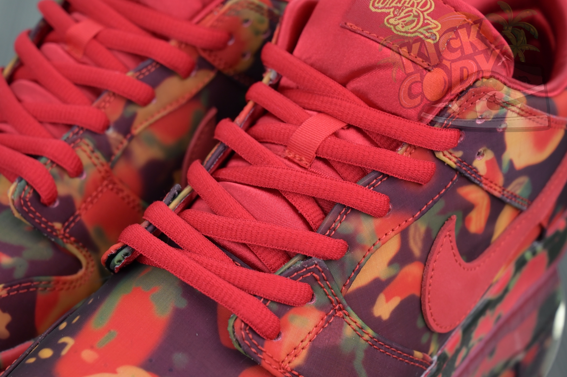 The Wizard of Oz x Nike SBDunk Low“Ruby Slipper”