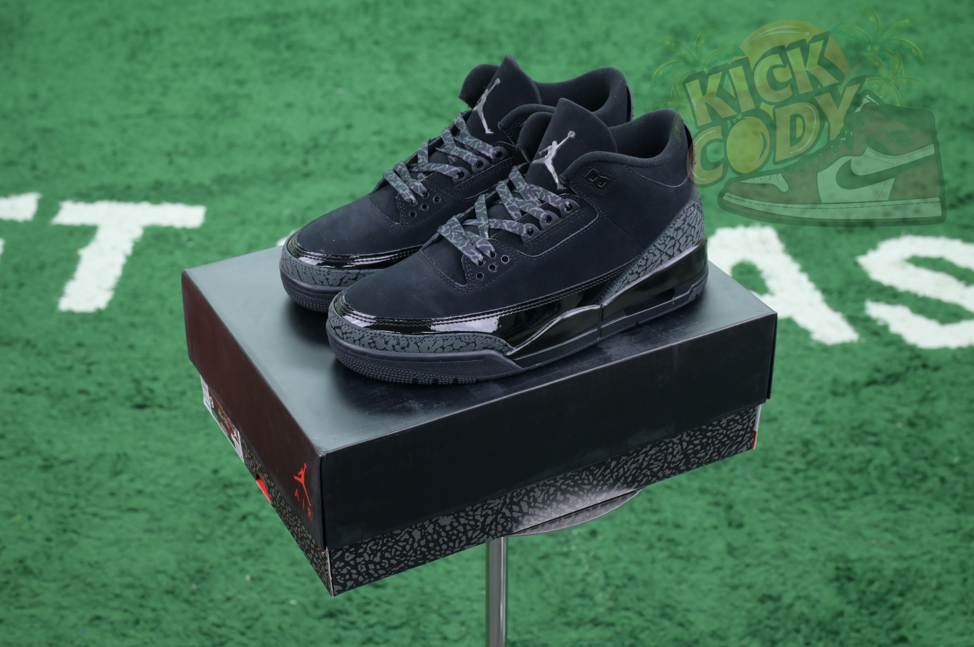 Jordan Air Jordan3“Black Cat”