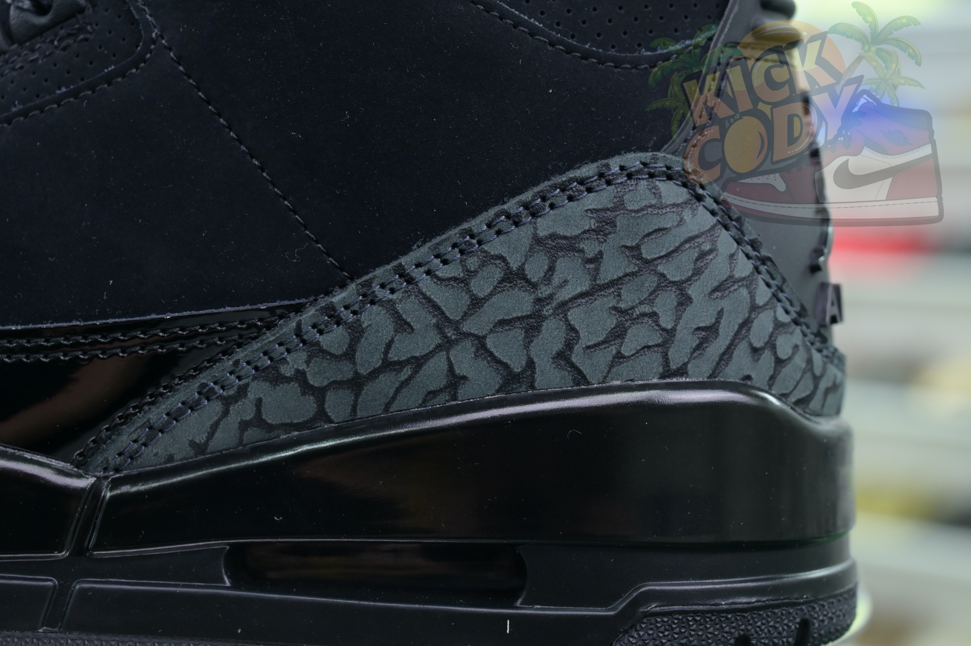 Jordan Air Jordan3“Black Cat”
