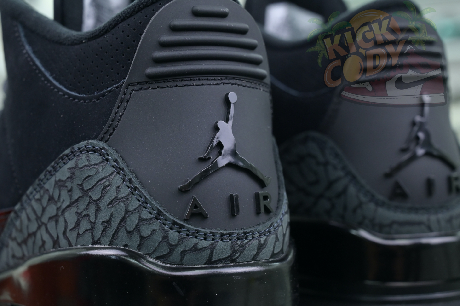 Jordan Air Jordan3“Black Cat”
